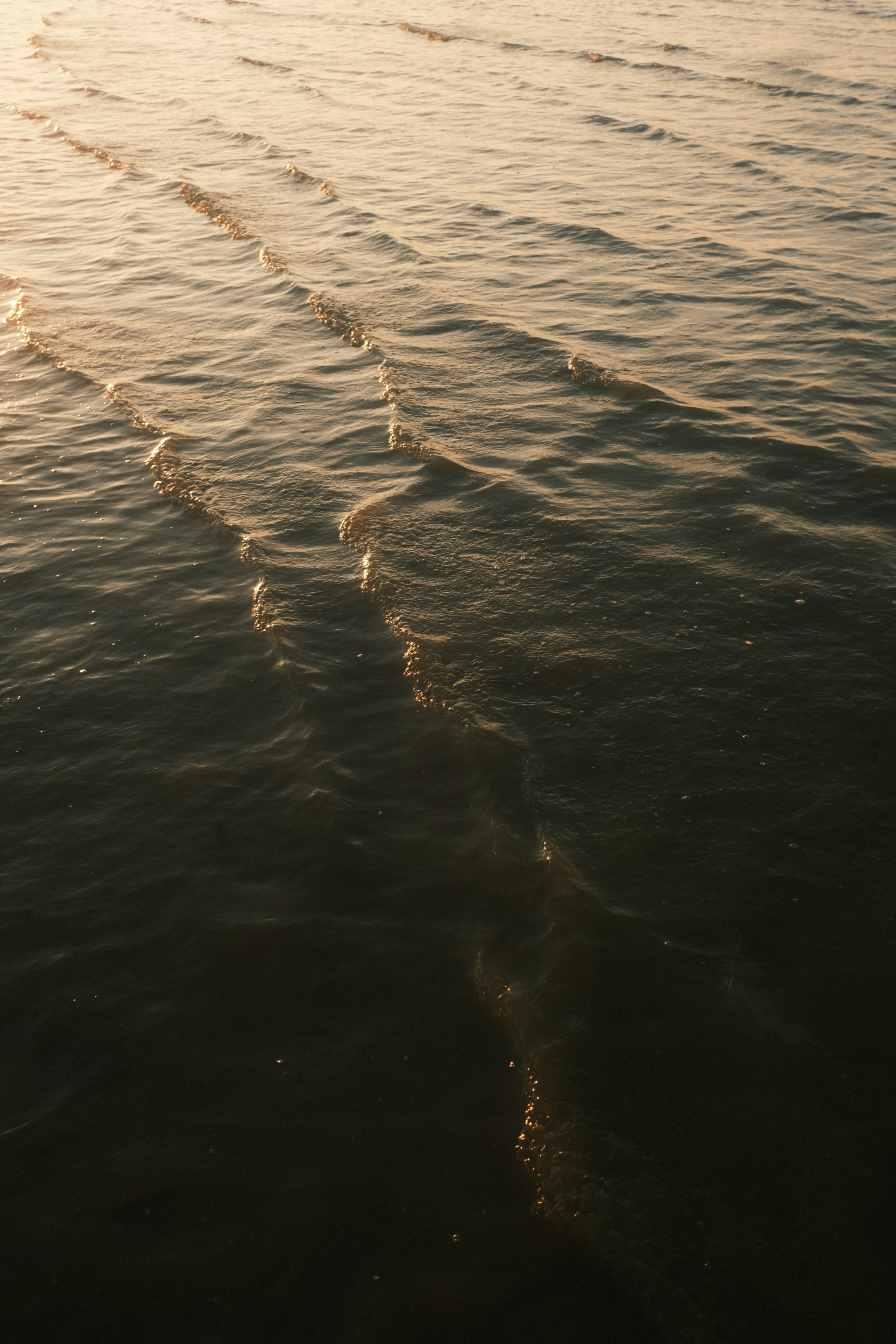 lukas-zischke-7CKIFrYuQtk-unsplash.jpg