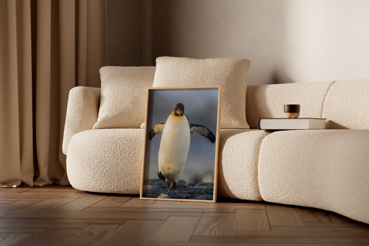 King penguin taulu olohuoneessa
