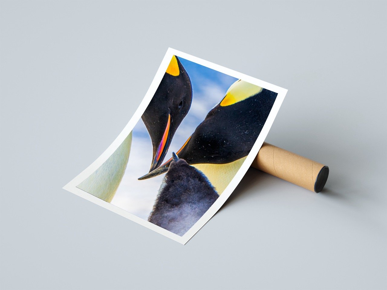 Emperor penguin family feeding moment poster