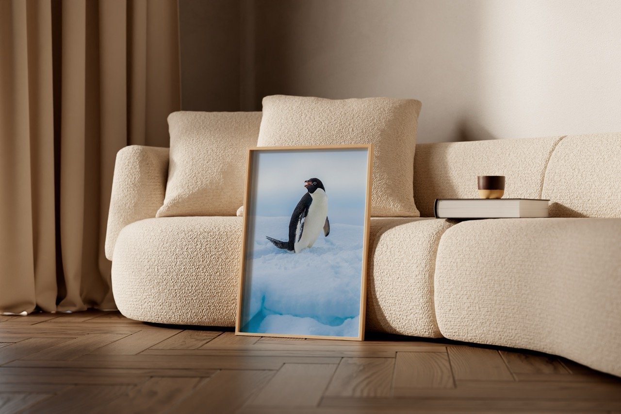 adelie penguin