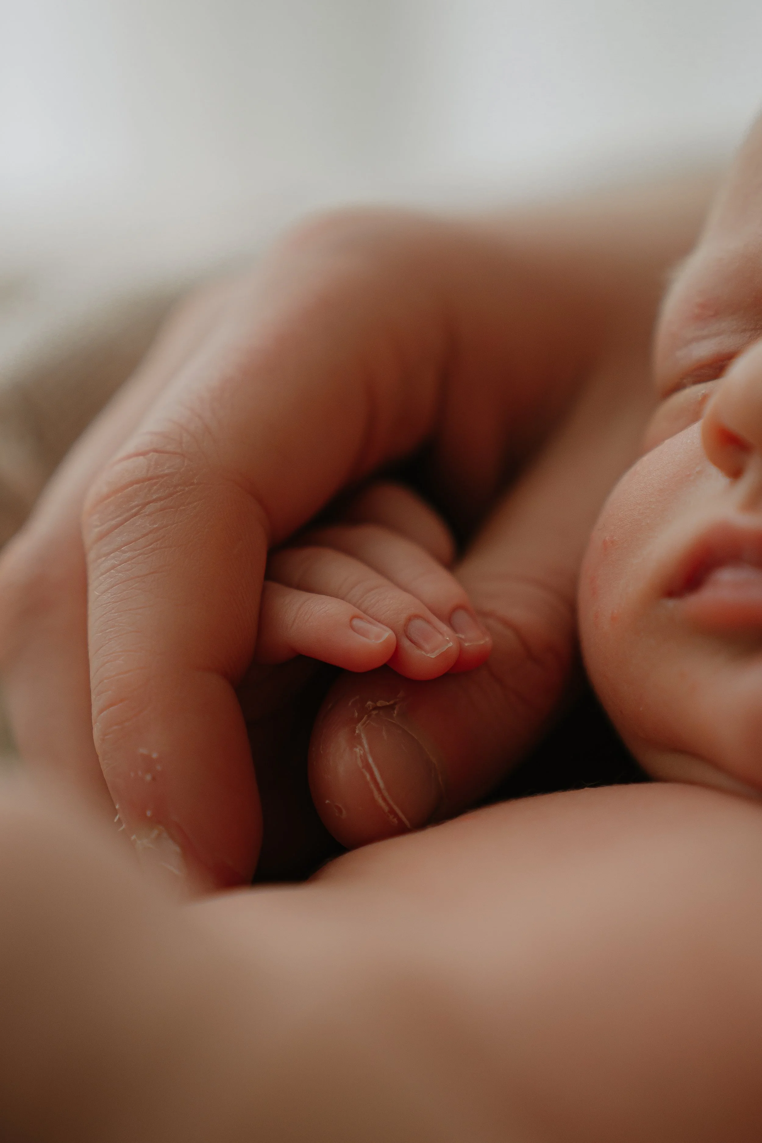 Hampshire Newborn and Baby Photographer
