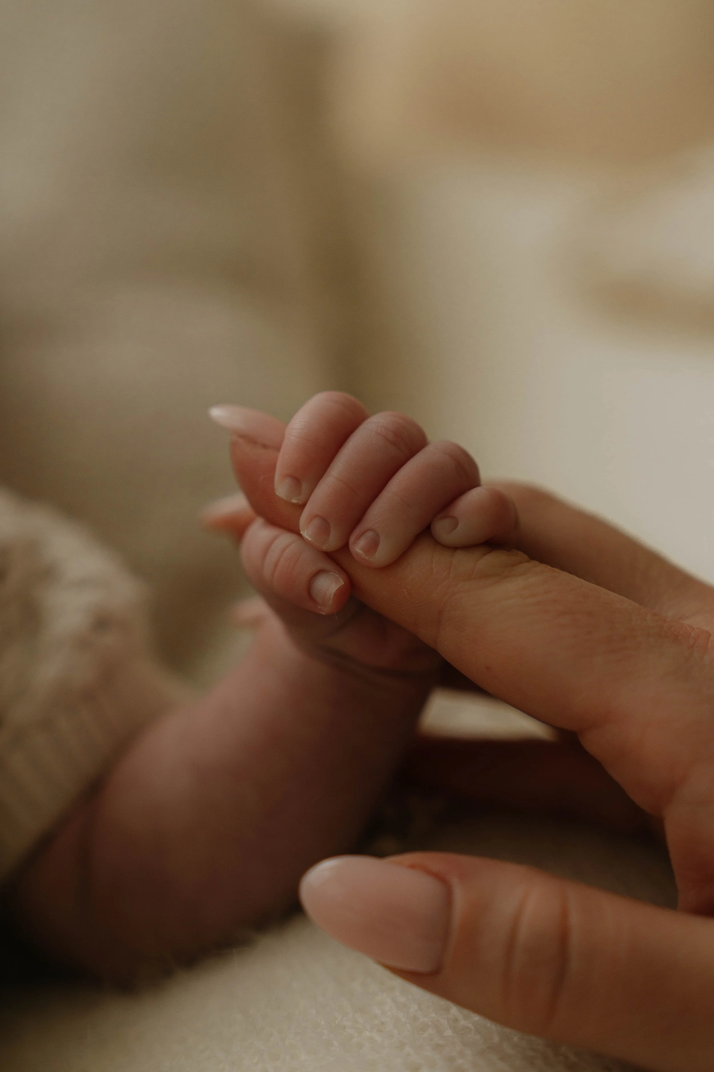 Hampshire Newborn Photographer