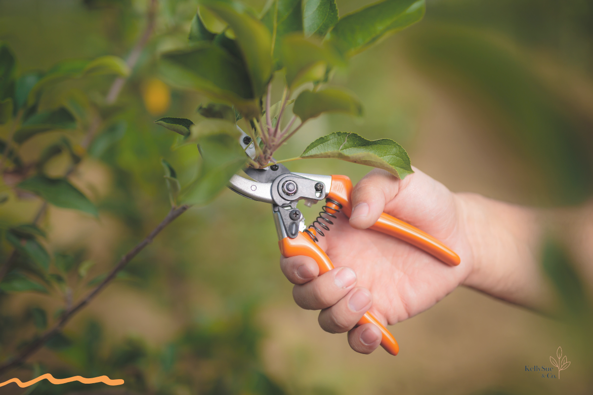 Your Knife Era: Using Autumn’s Energy to Heal Burnout and Clear the Clutter