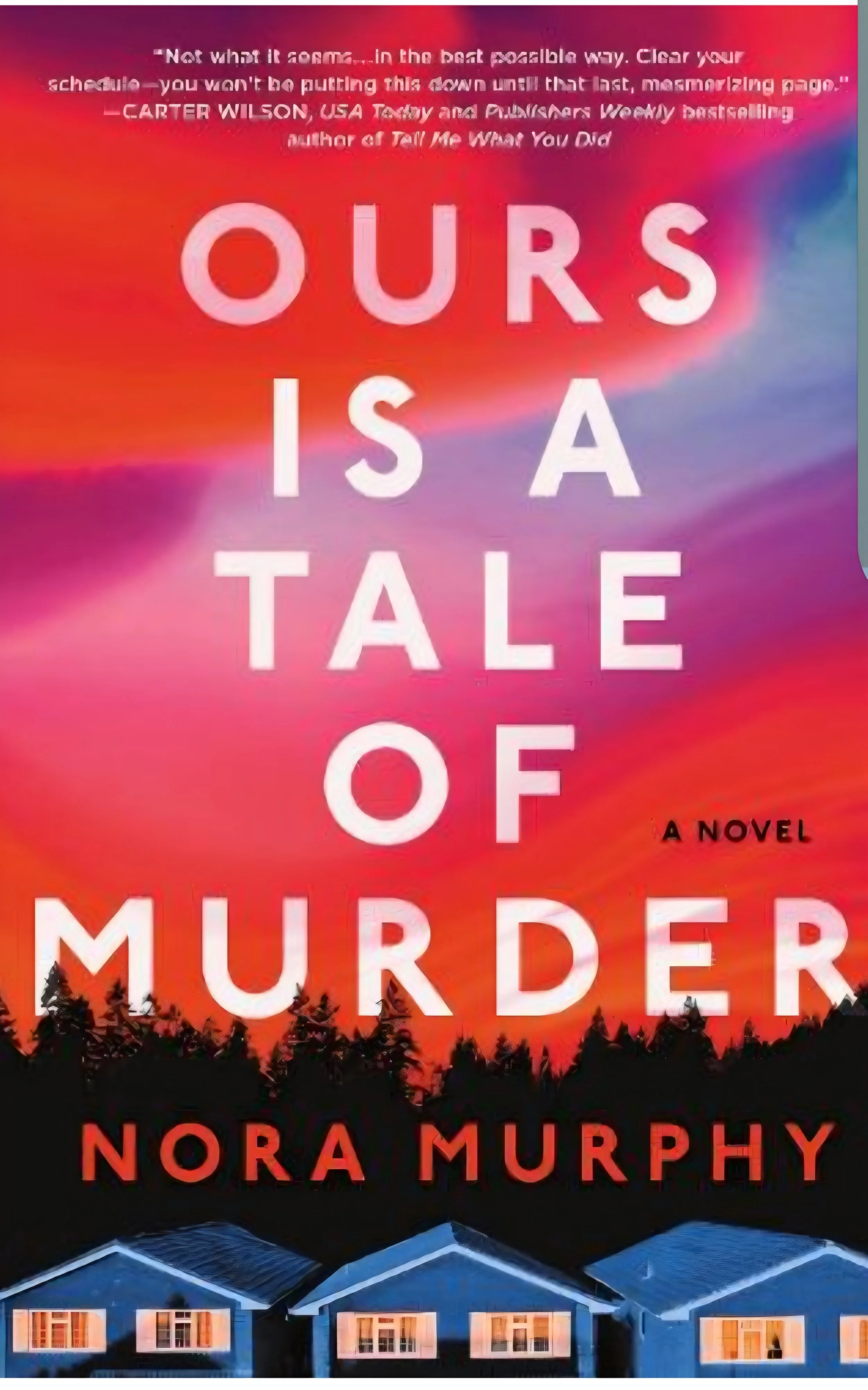 the image shows the book cover for Ours is a Tale of Murder by Nora Murphyy