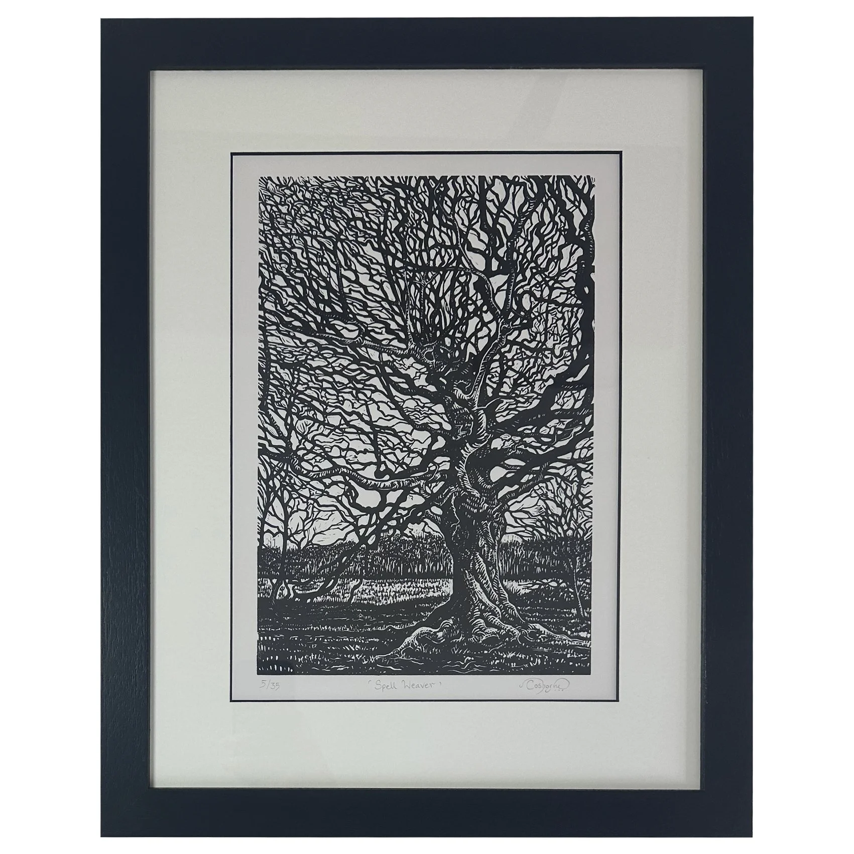 Spell Weaver (framed)