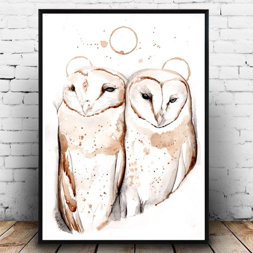 Barn Owls
