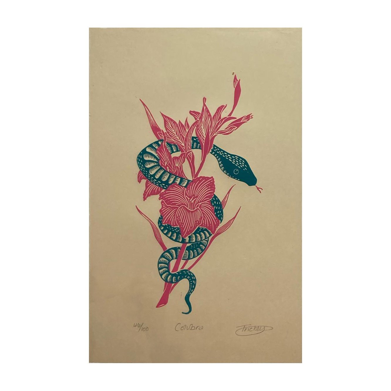 Colubra (unframed)