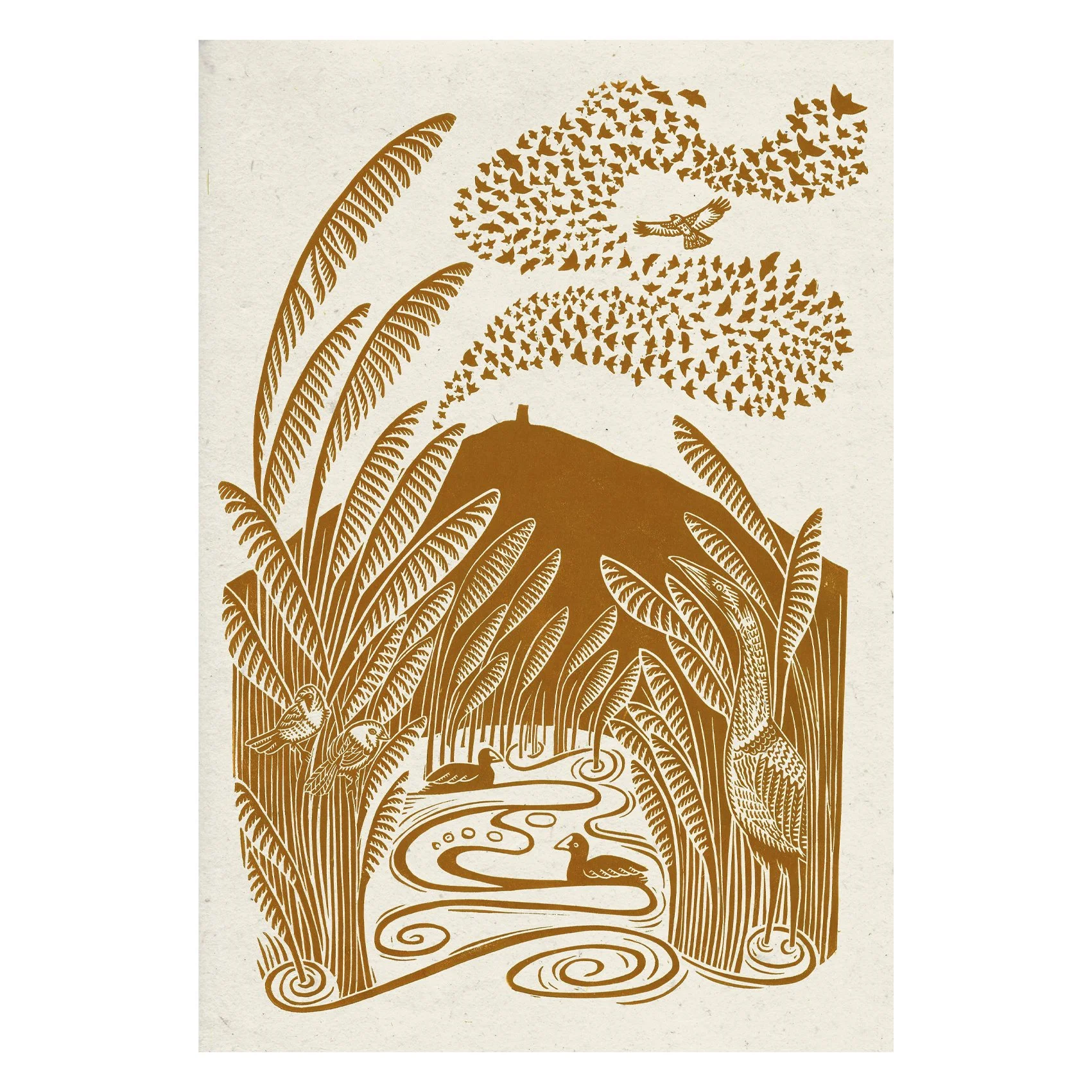 Avalon Marshes (unframed)
