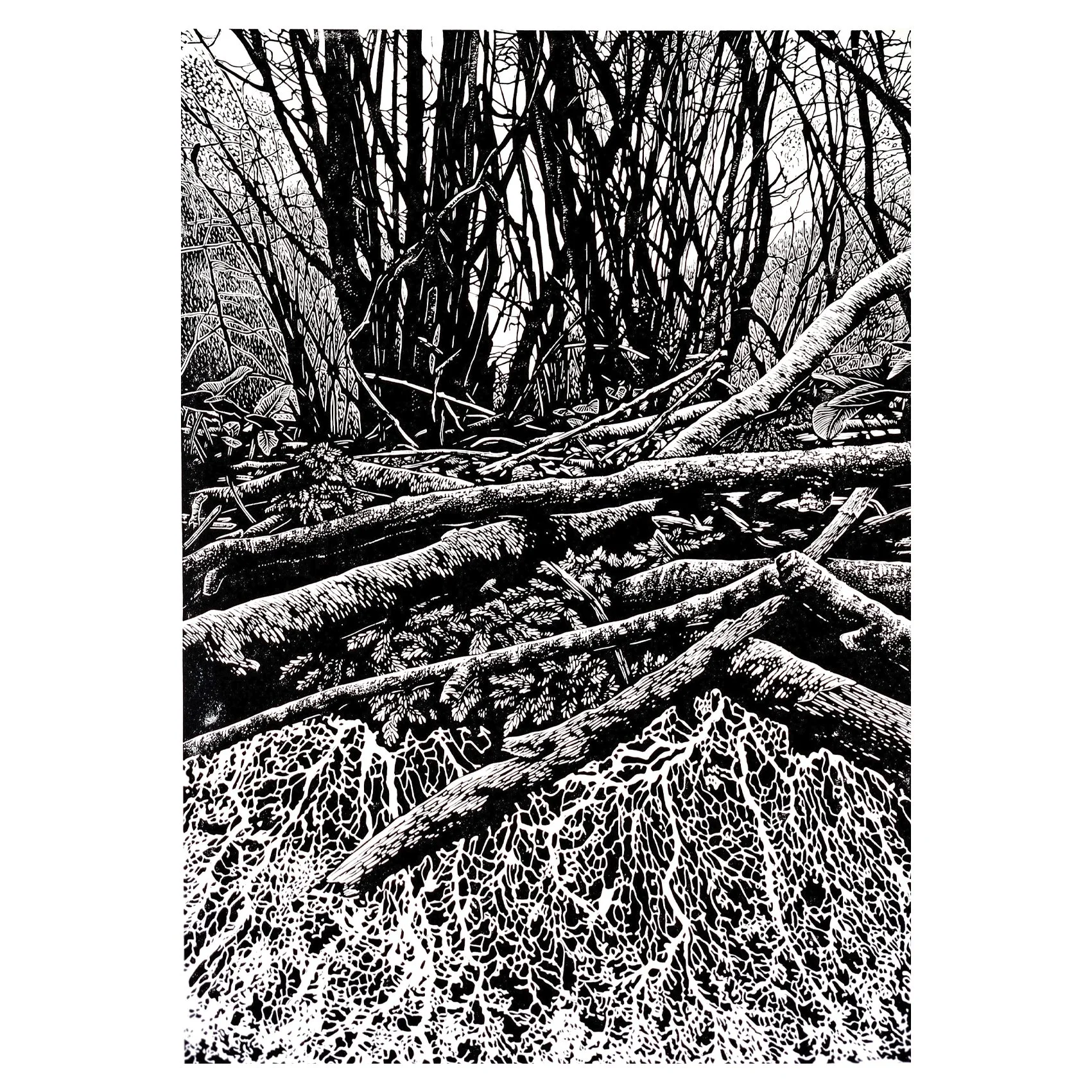 Beneath The Surface (unframed)