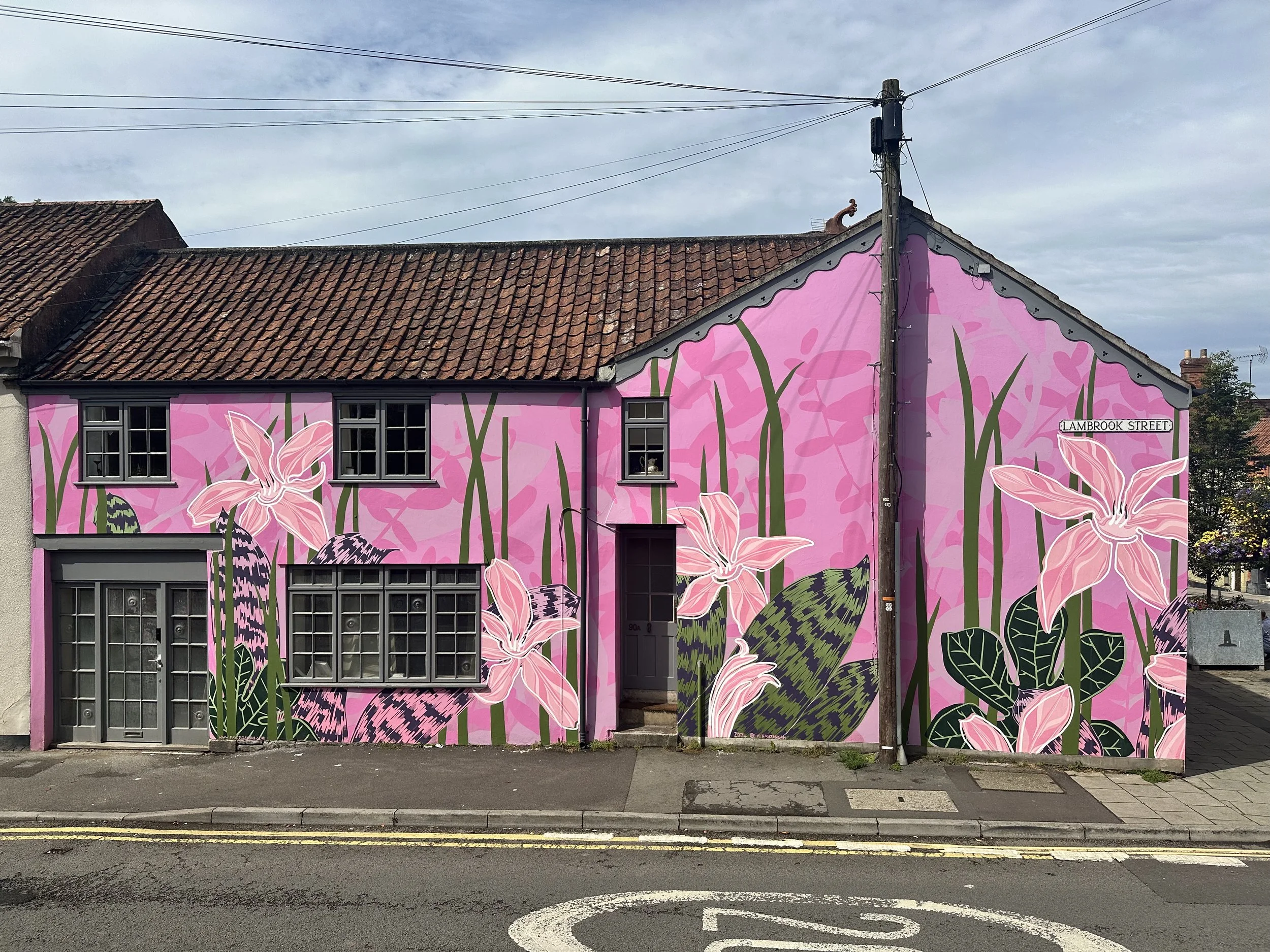 bromeliads faye suzannah.jpg