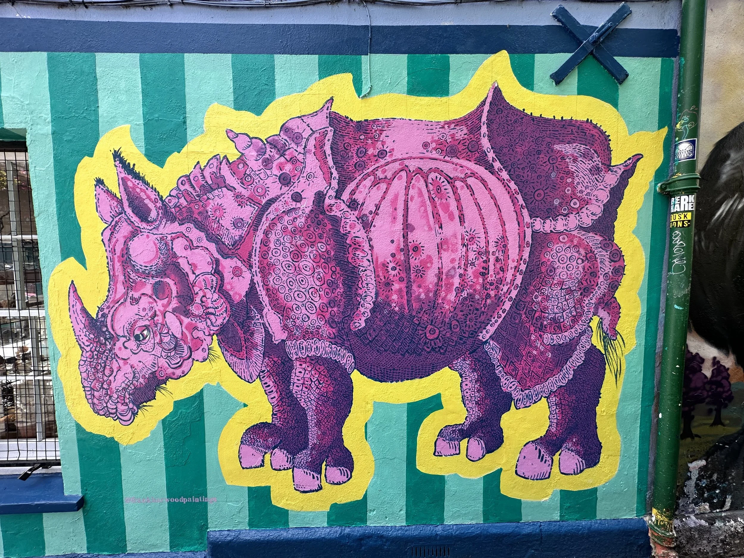 frank harwood pink rhino.jpeg