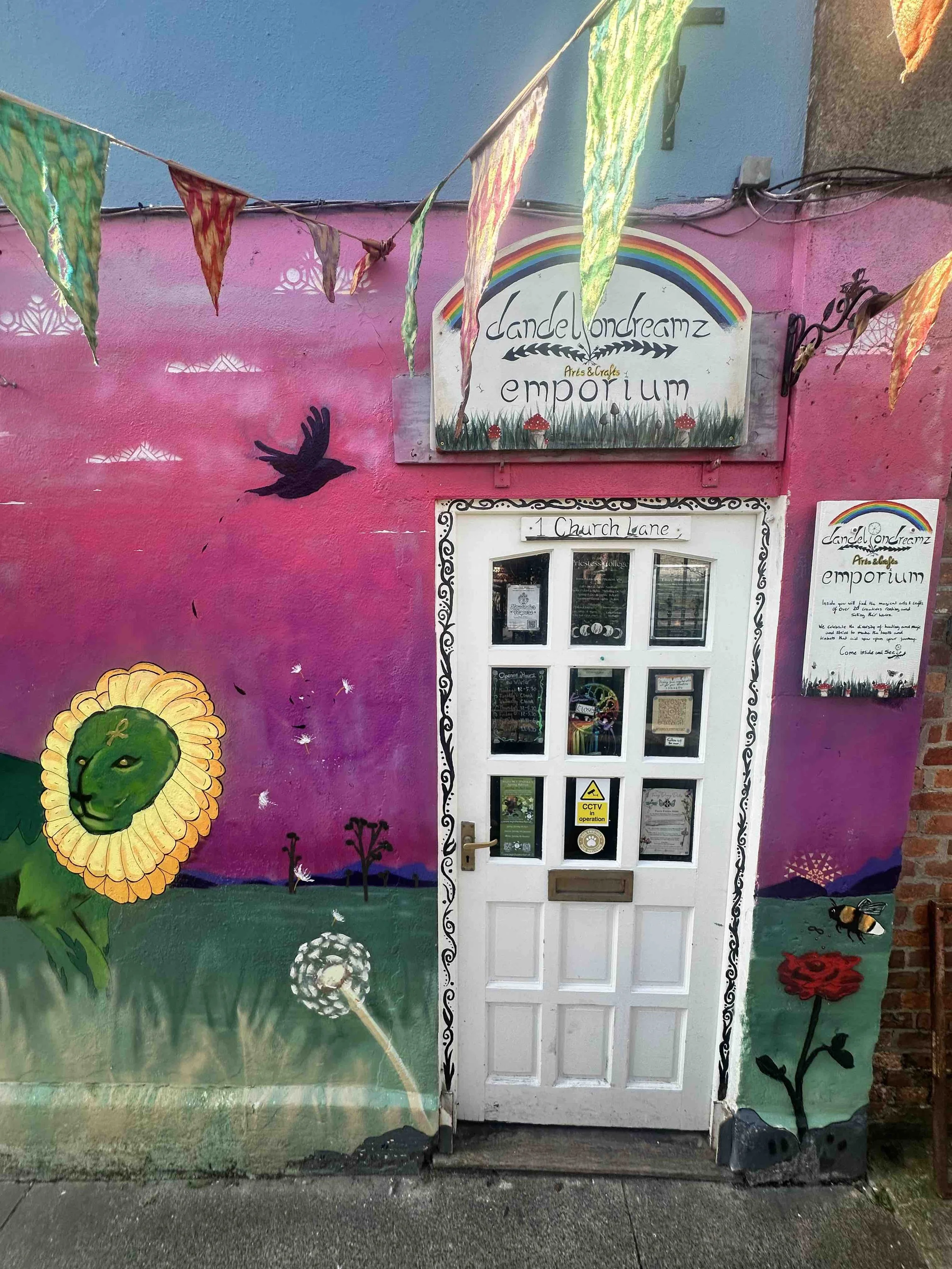 art blog dandelion dreamz.jpg