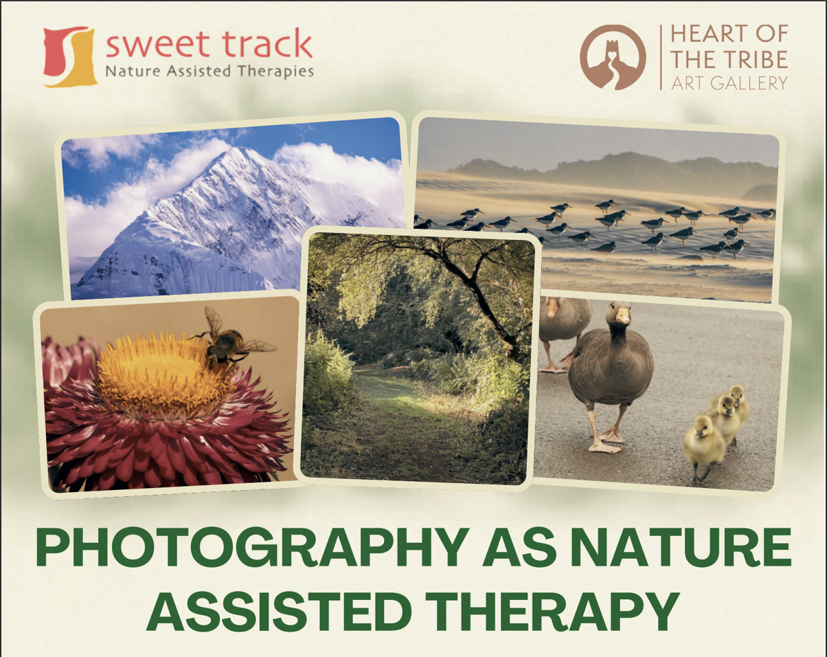 SWEET TRACK FUNDRAISER Photography Exhibition