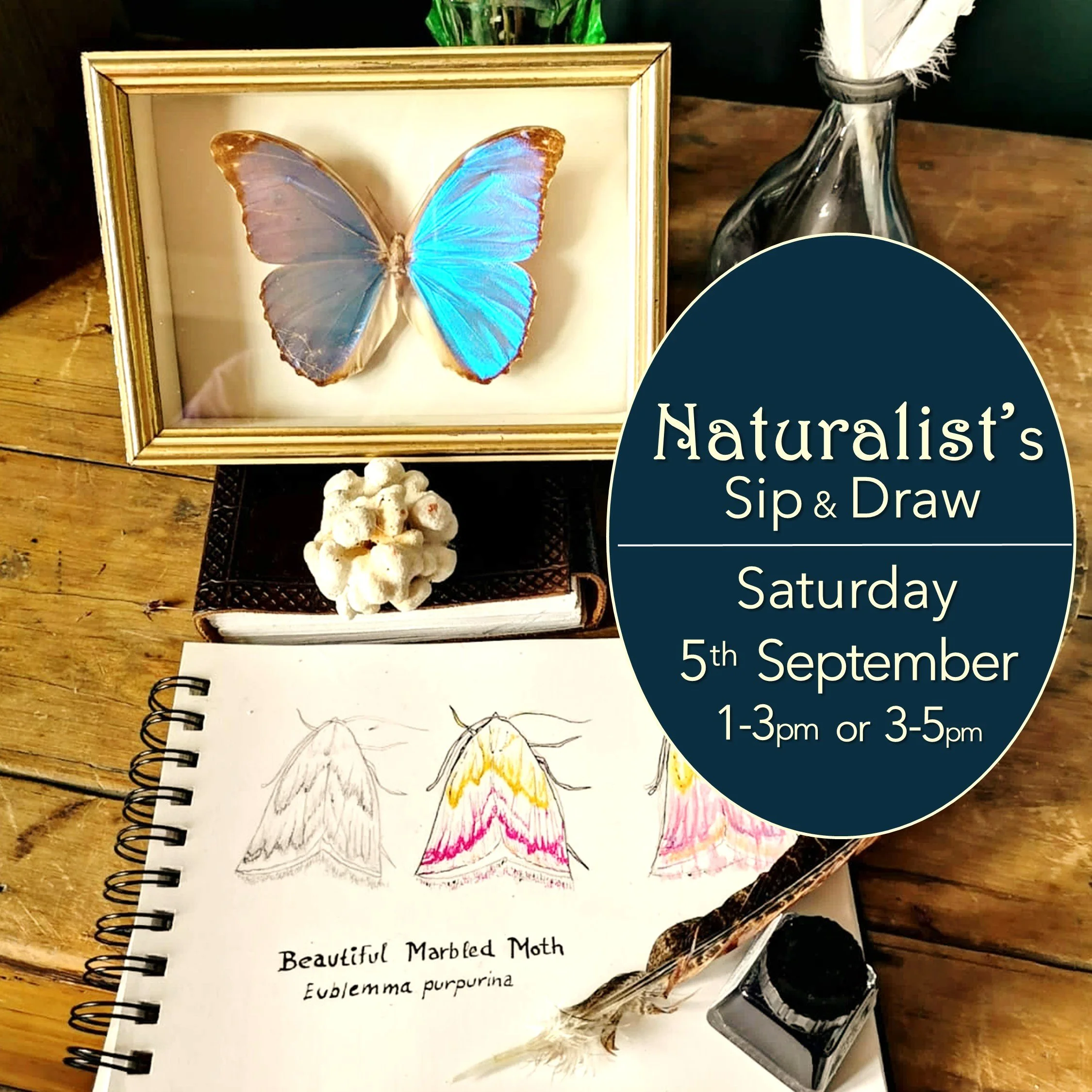 Naturalist’s Sip &amp; Draw