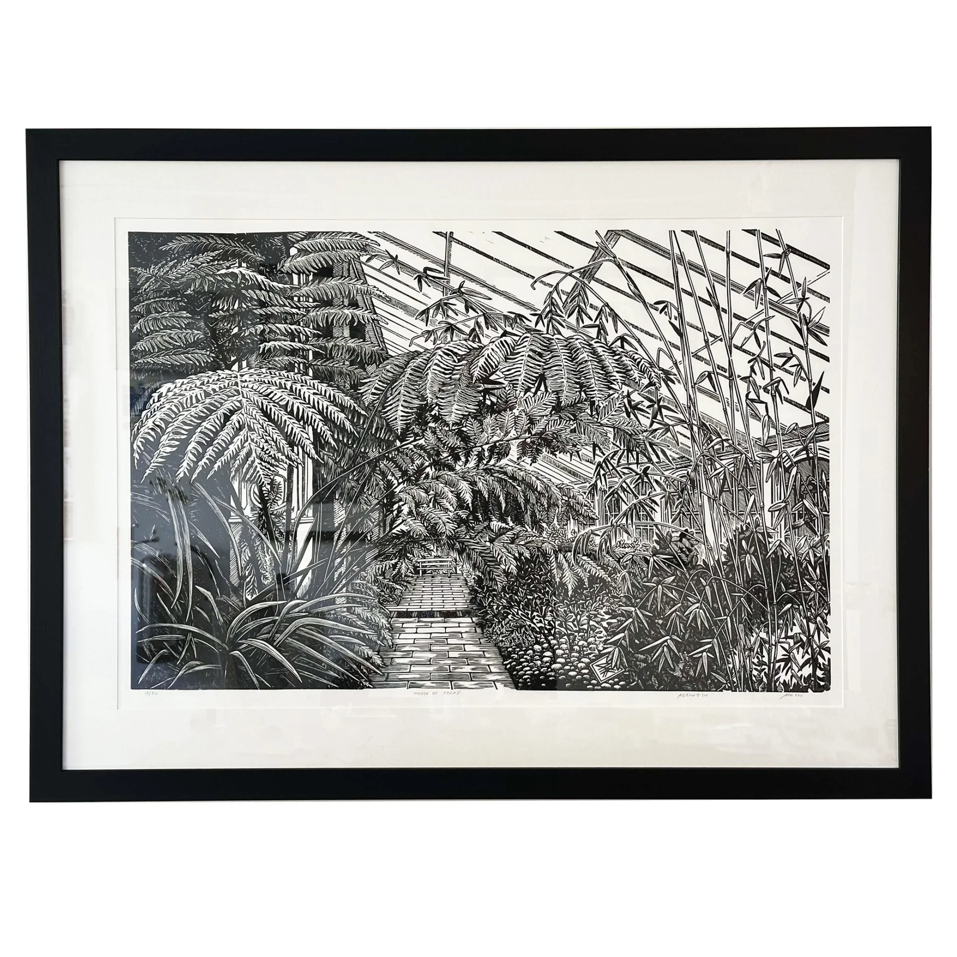 house-of-ferns-framed-aga.jpg