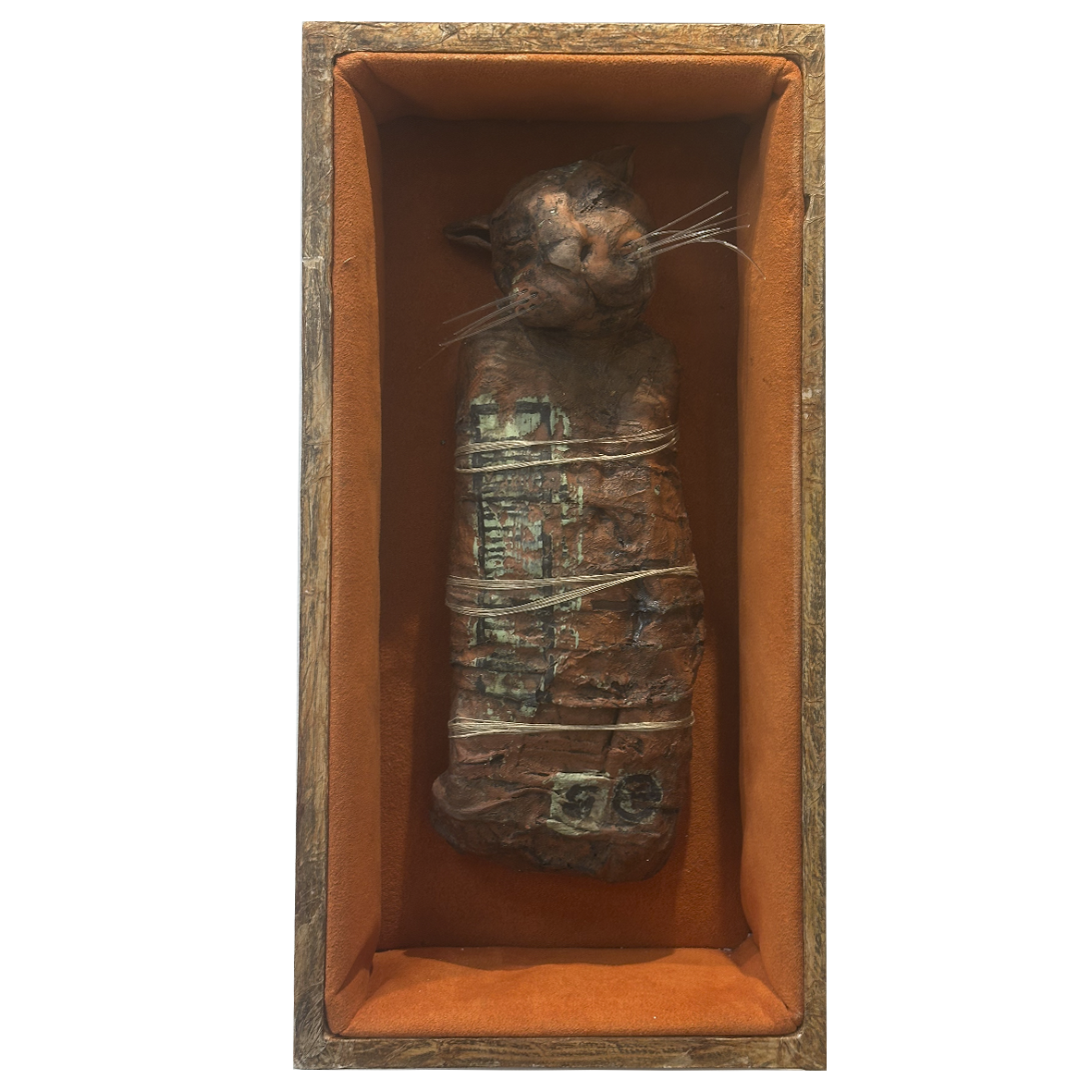 Mumified sleeping cat (orange)