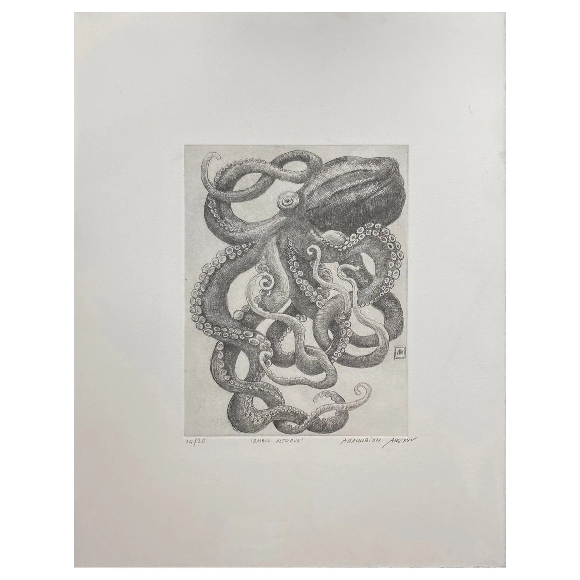 Small octopus unframed.jpg