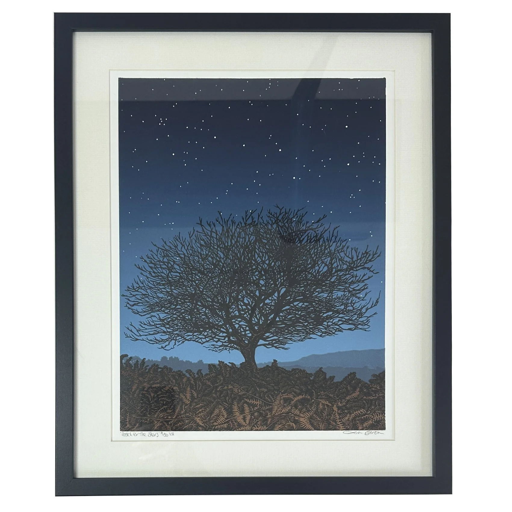 Reach For The Stars (framed)