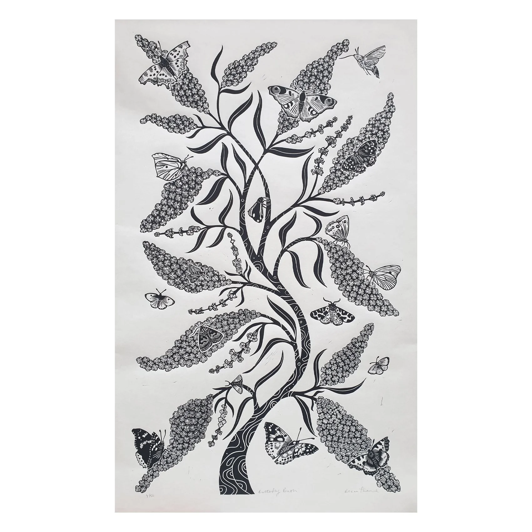 becca thorne butterfly bush unf.jpg (Copy)