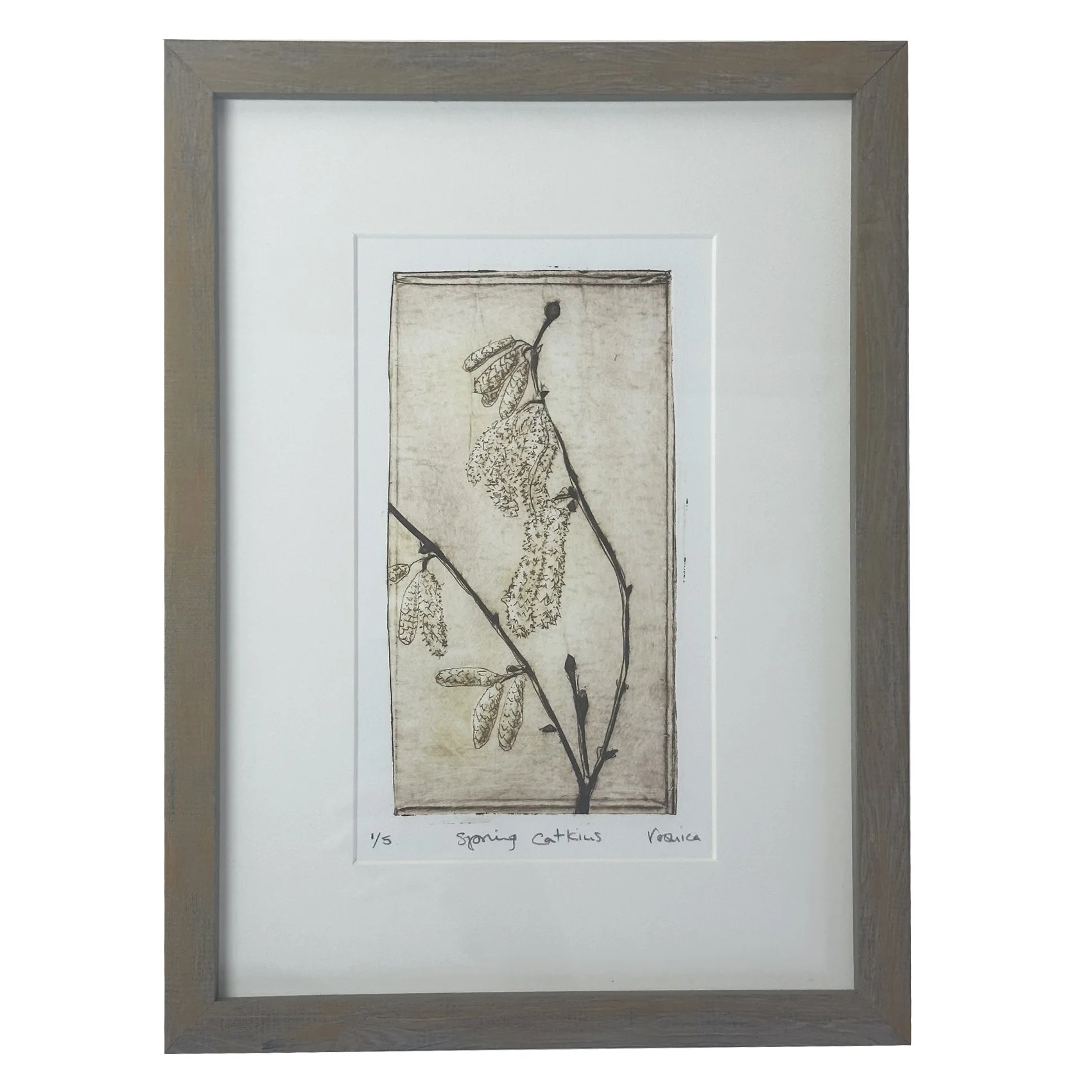 Spring Catkins (framed)