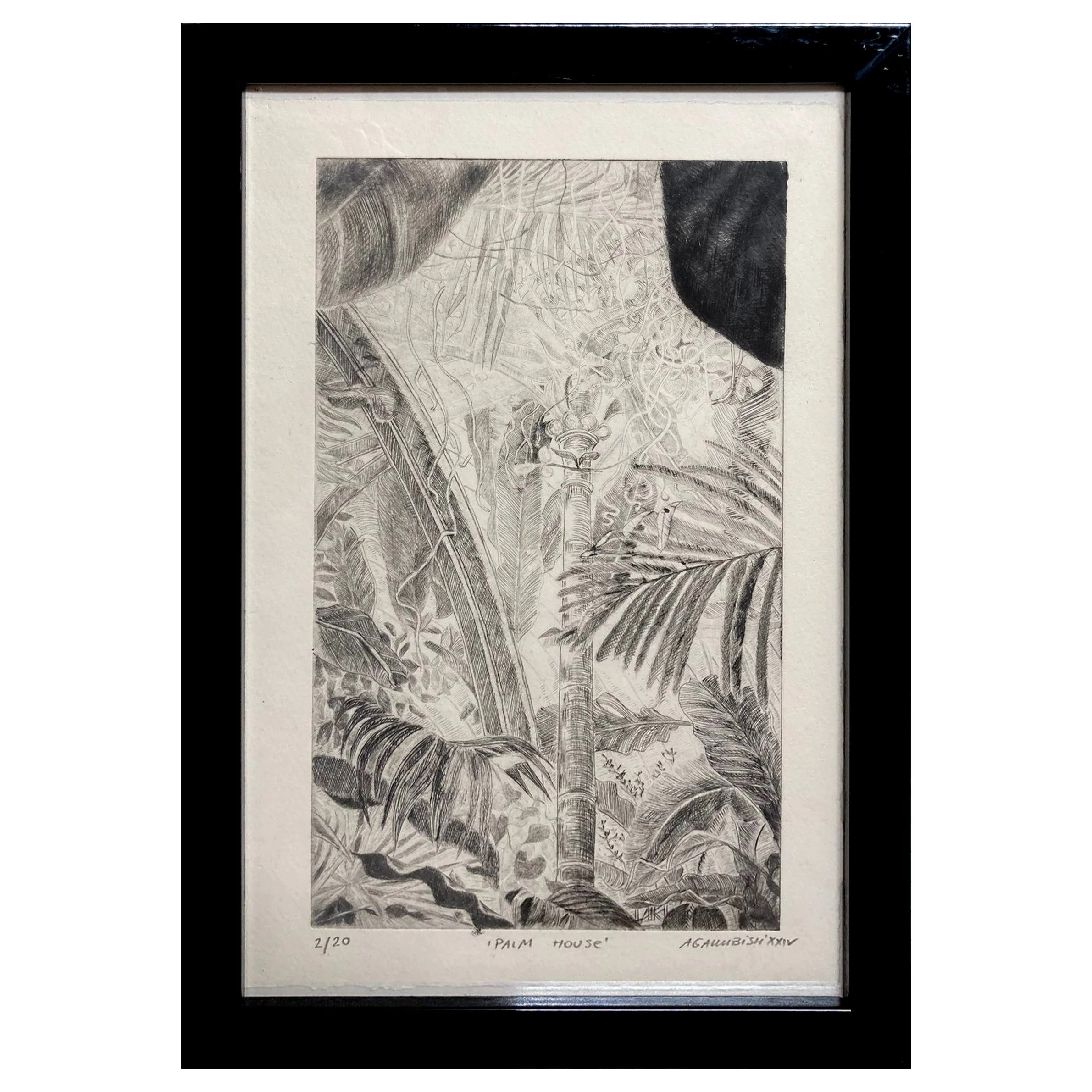 Palm house framed.jpg