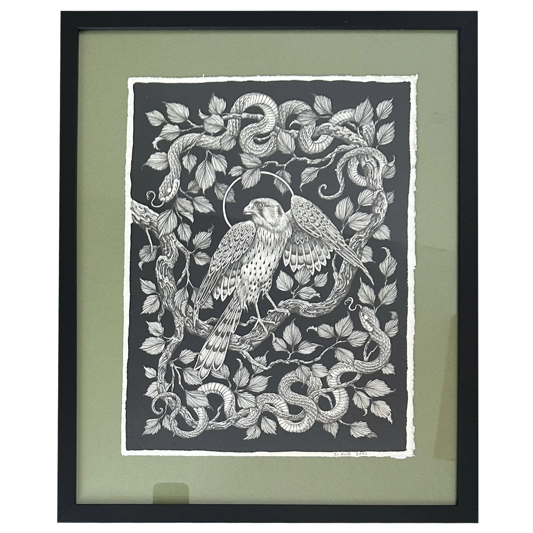 Kestrel & Snakes (framed)