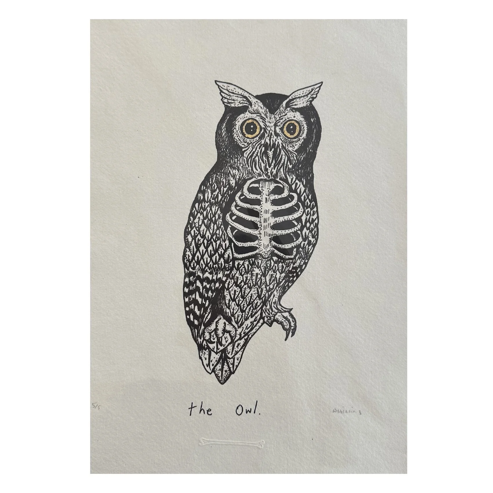 amy higgins print - owl.jpg