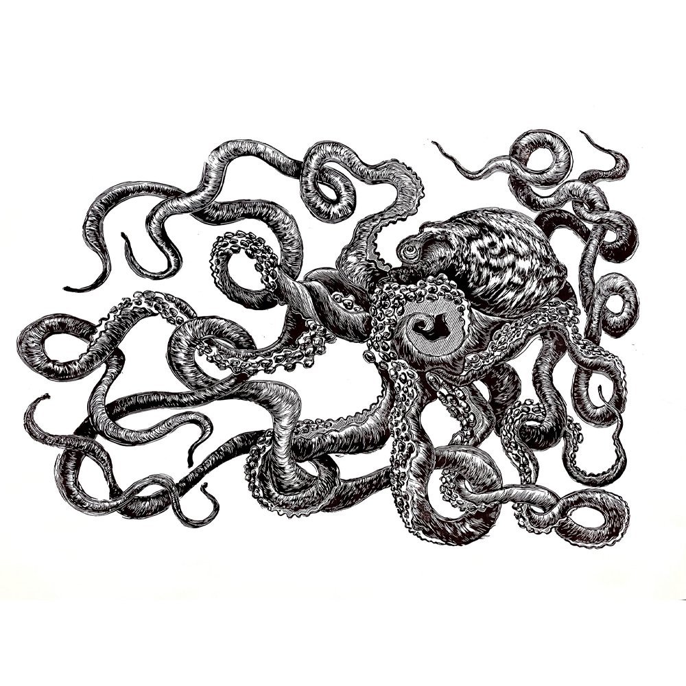 Giant-Octopus-1.jpeg