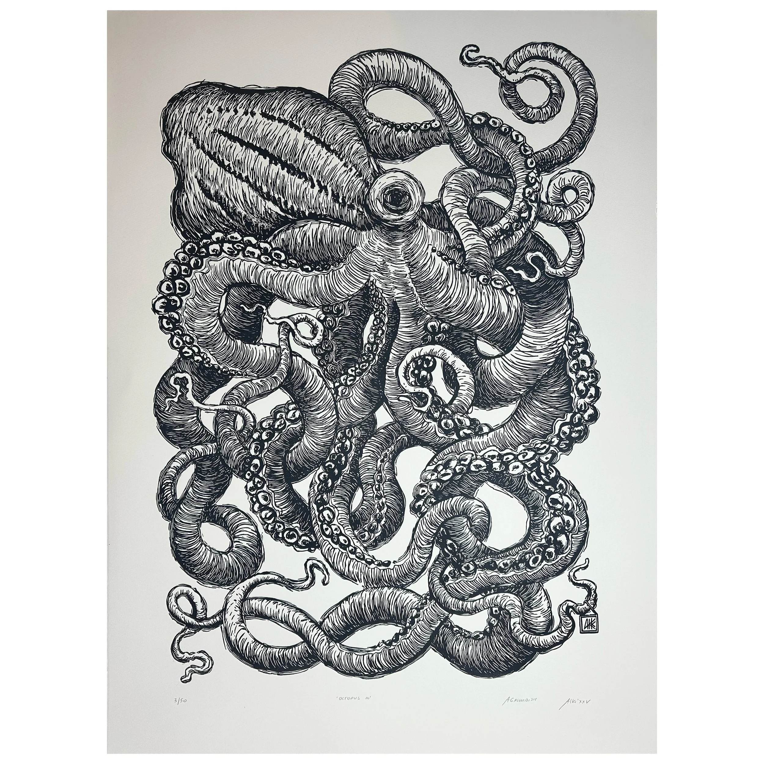 OCTOPUS III unframed.jpg