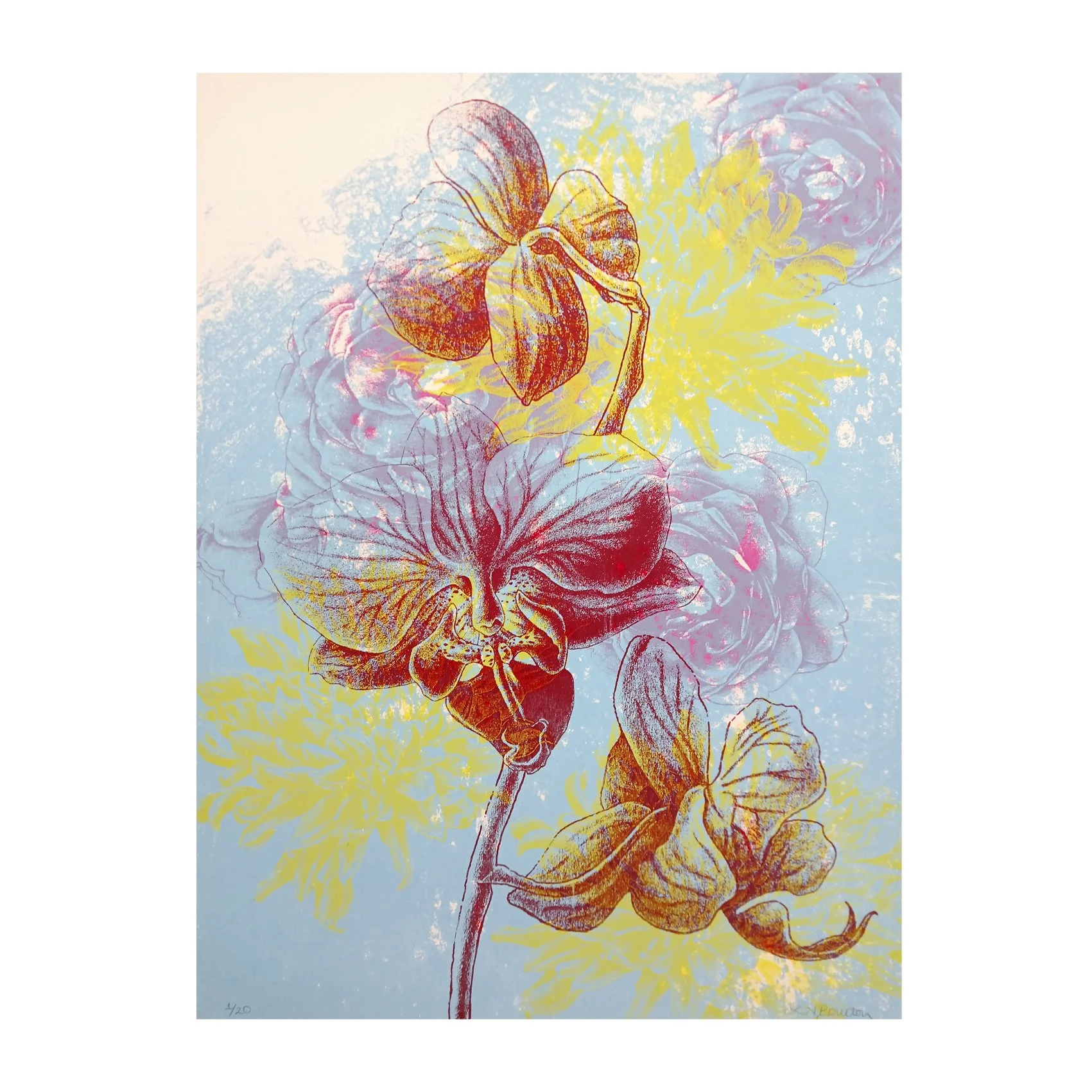 Orchid (unframed)