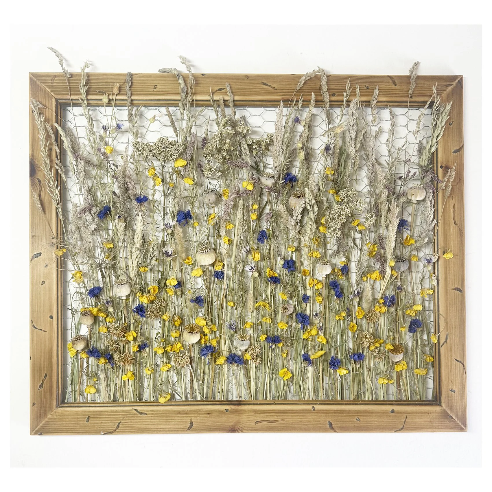 clare wood a somerset meadow.jpg
