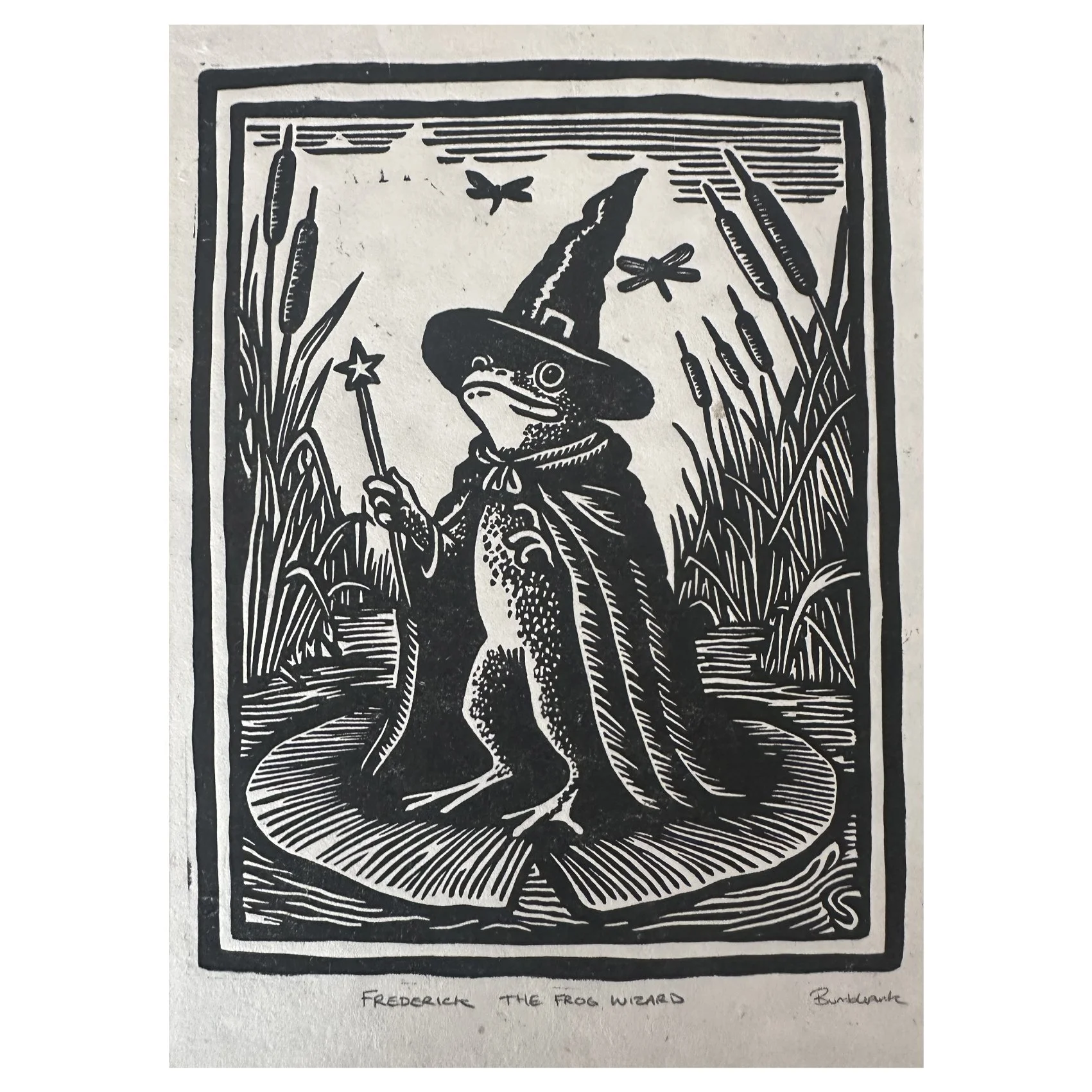 Frederick The Frog Wizzard (unframed)