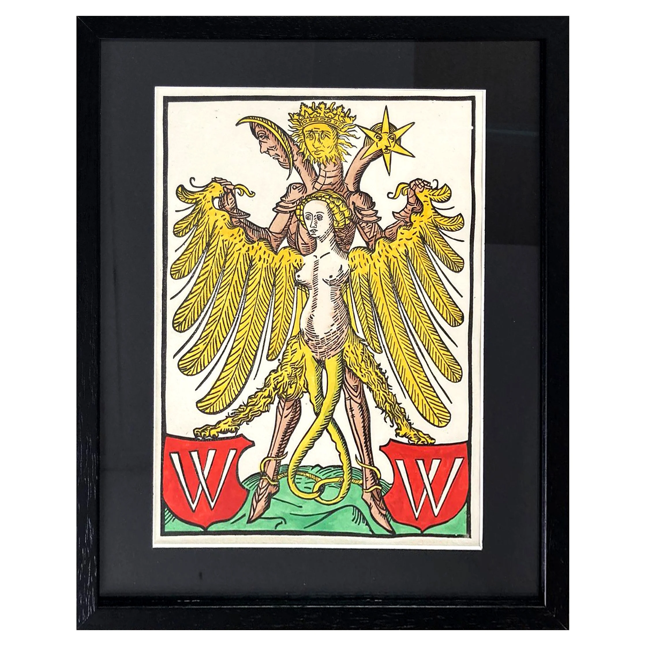 Vaticinium ex Eventum Colour (framed)