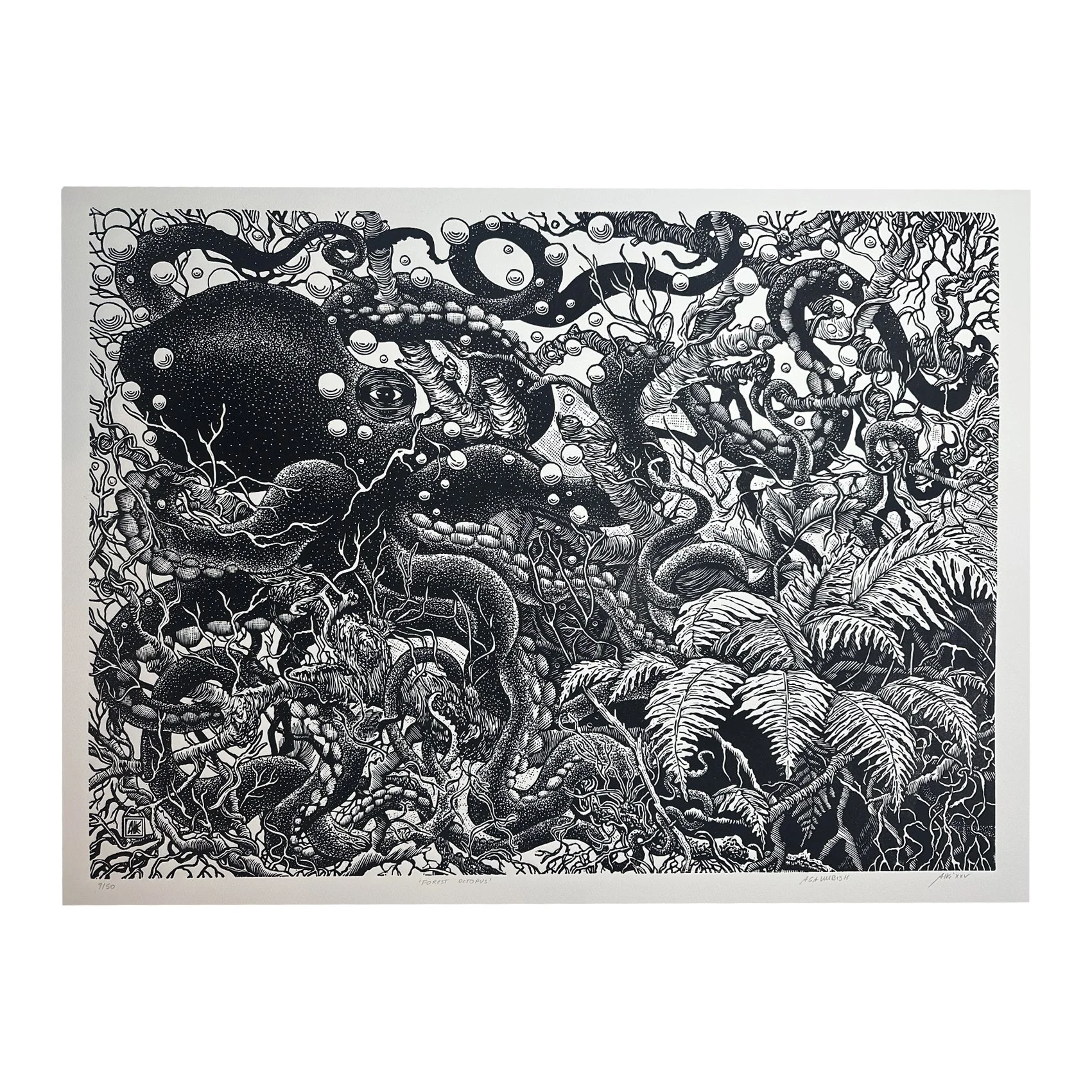 jungle octopus.jpg