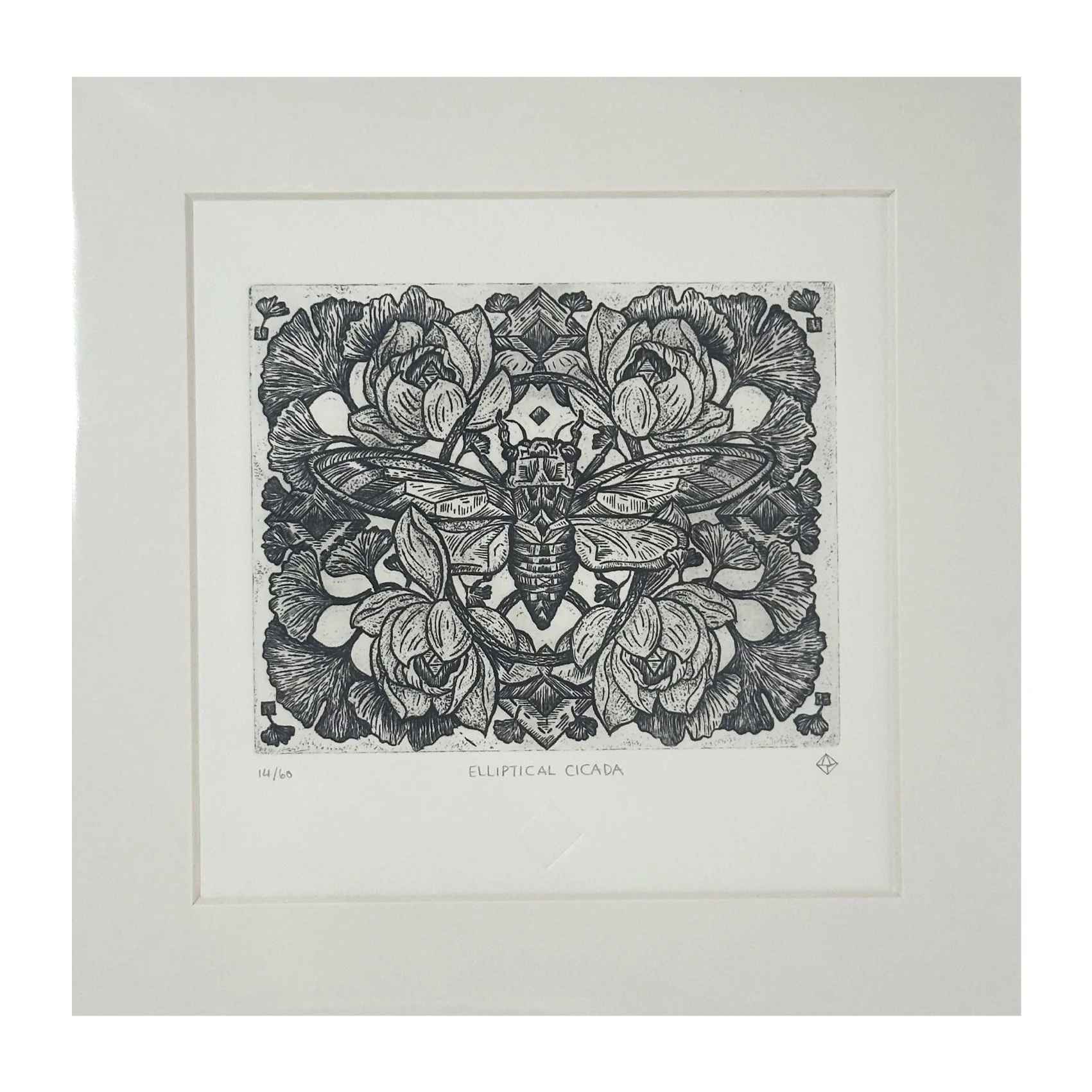 Elliptical Cicada (unframed)