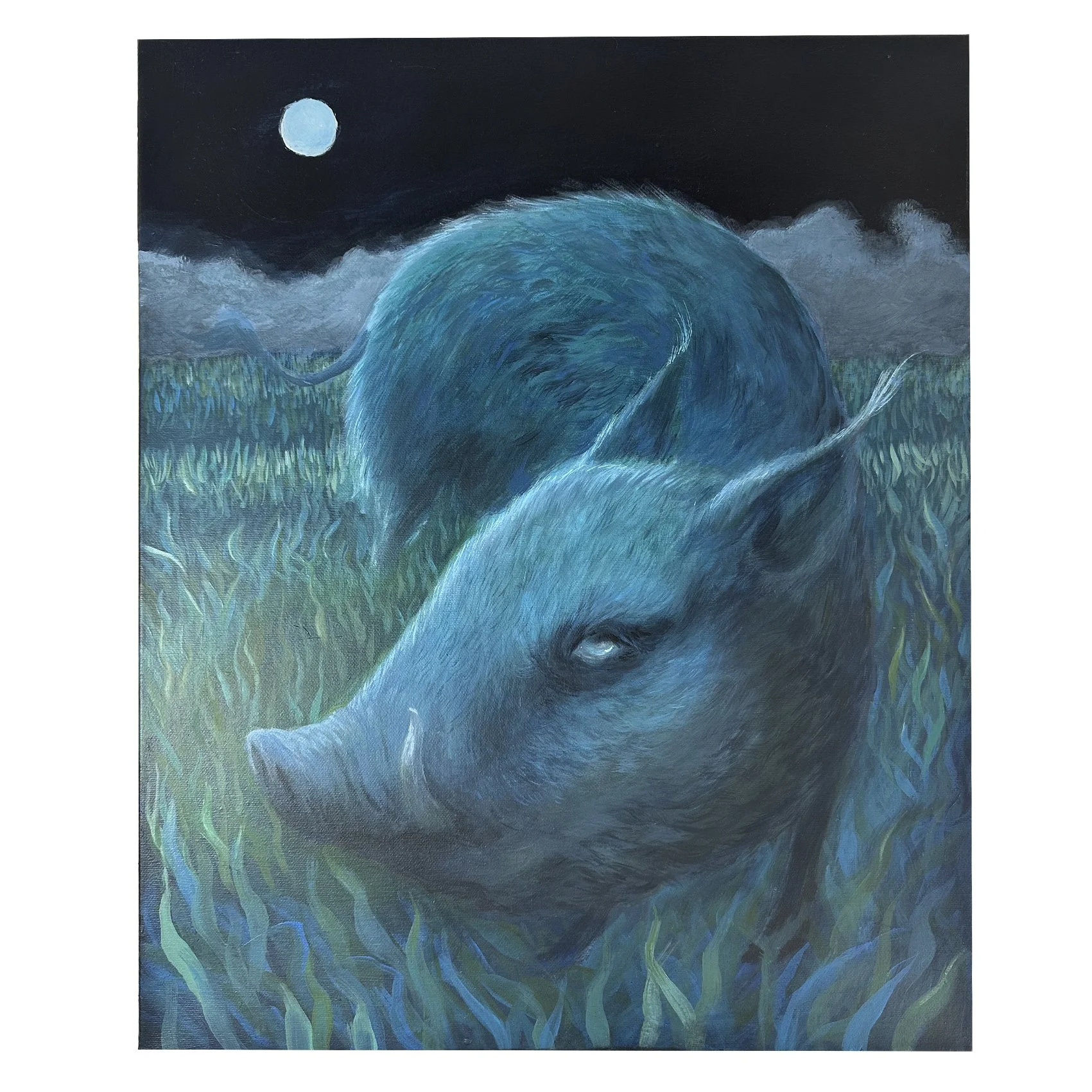 Lone Boar