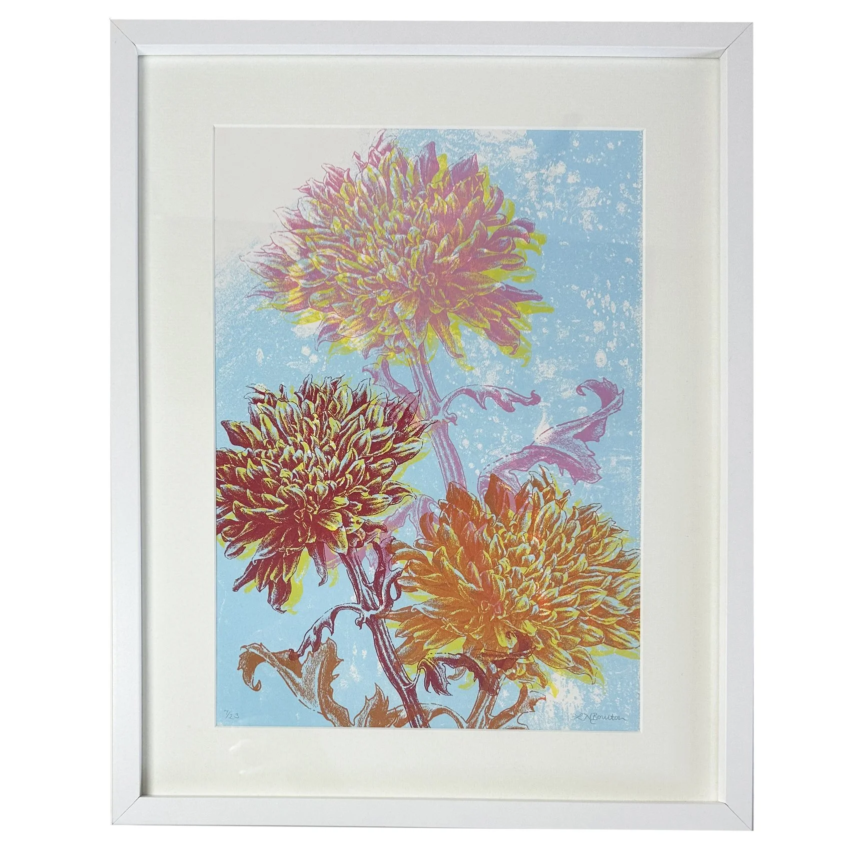 Chrysanthemum (framed)