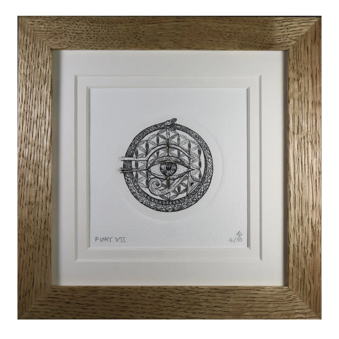 Fury VII (framed)