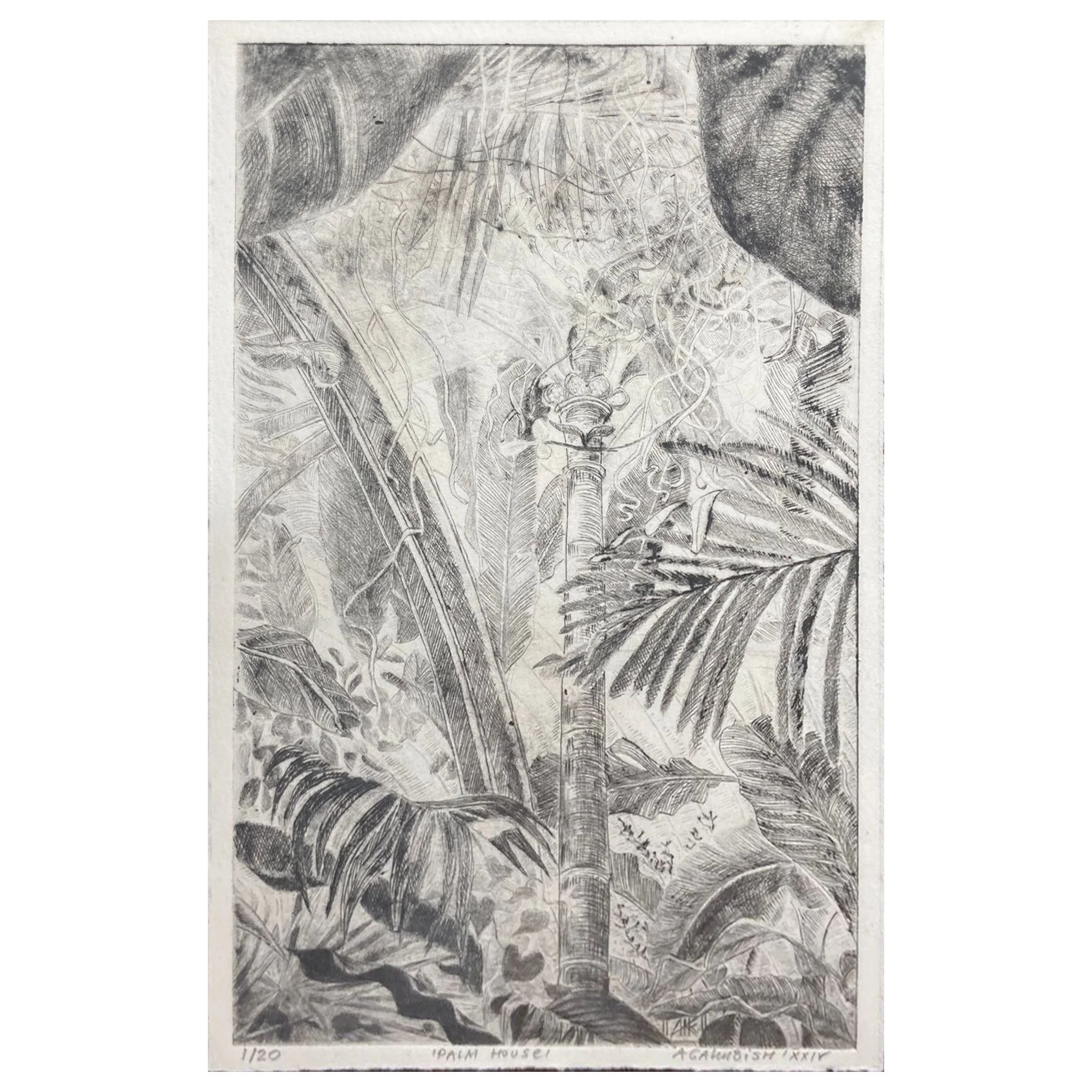 Palm house unframed.jpg