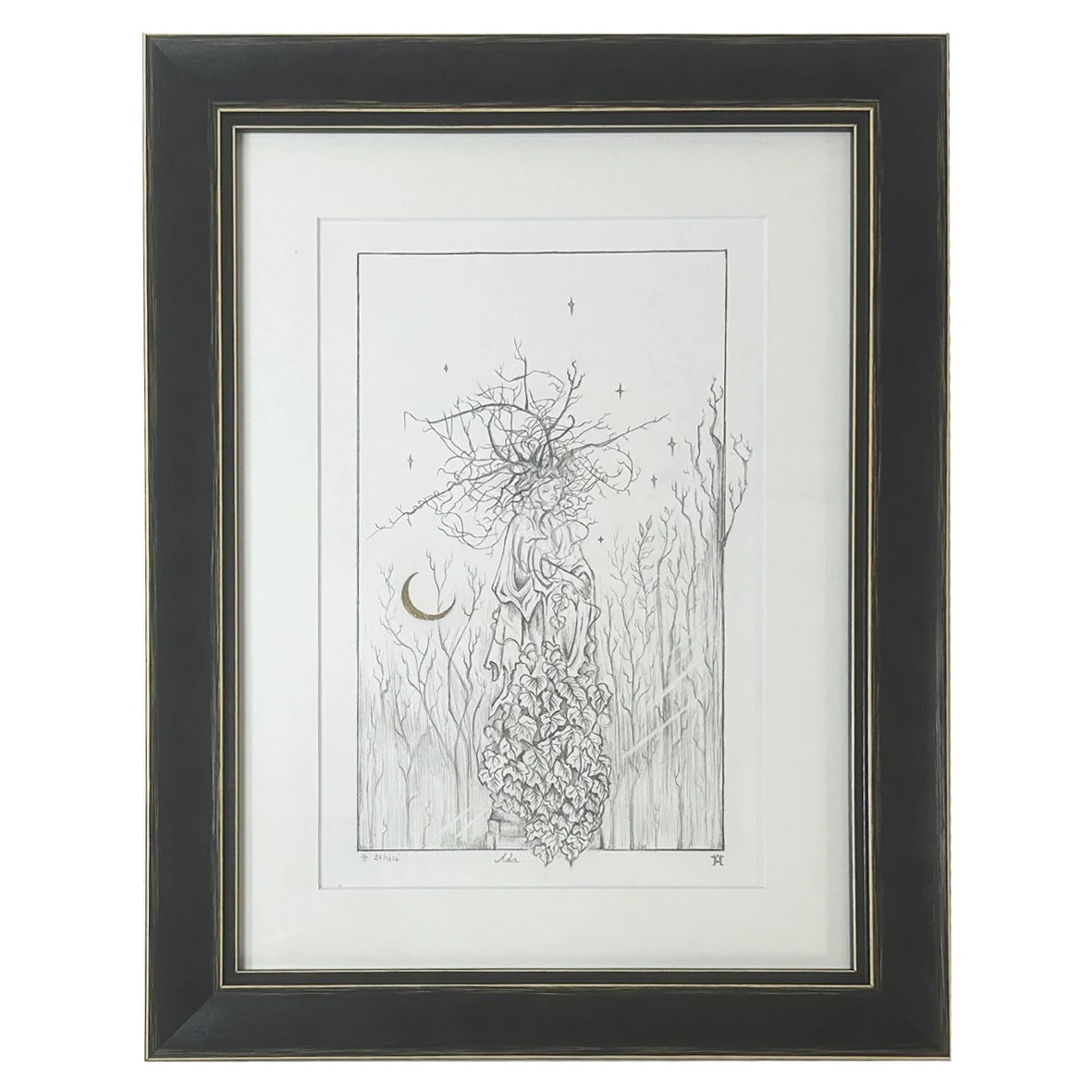 Ada (framed)