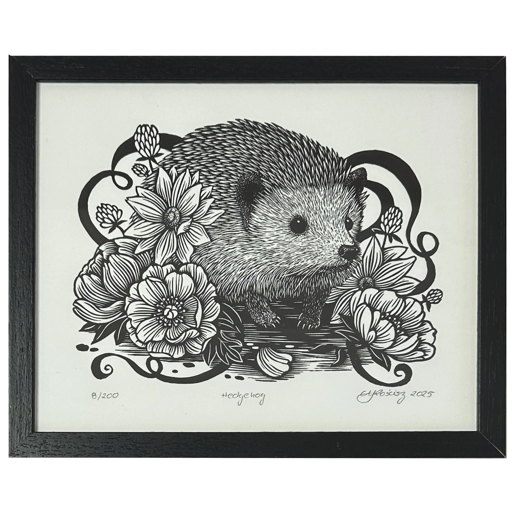 Hedgehog (framed)