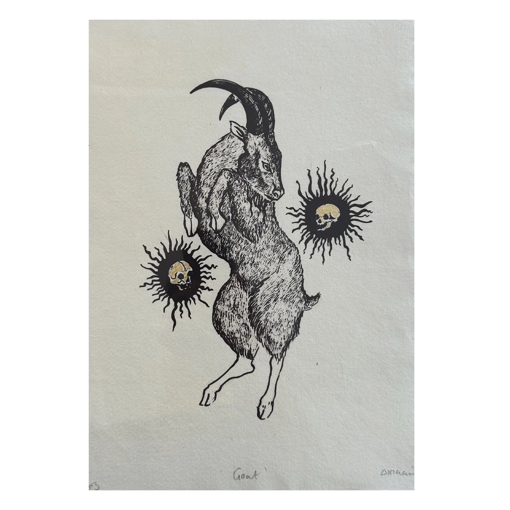amy higgins print - goat.jpg