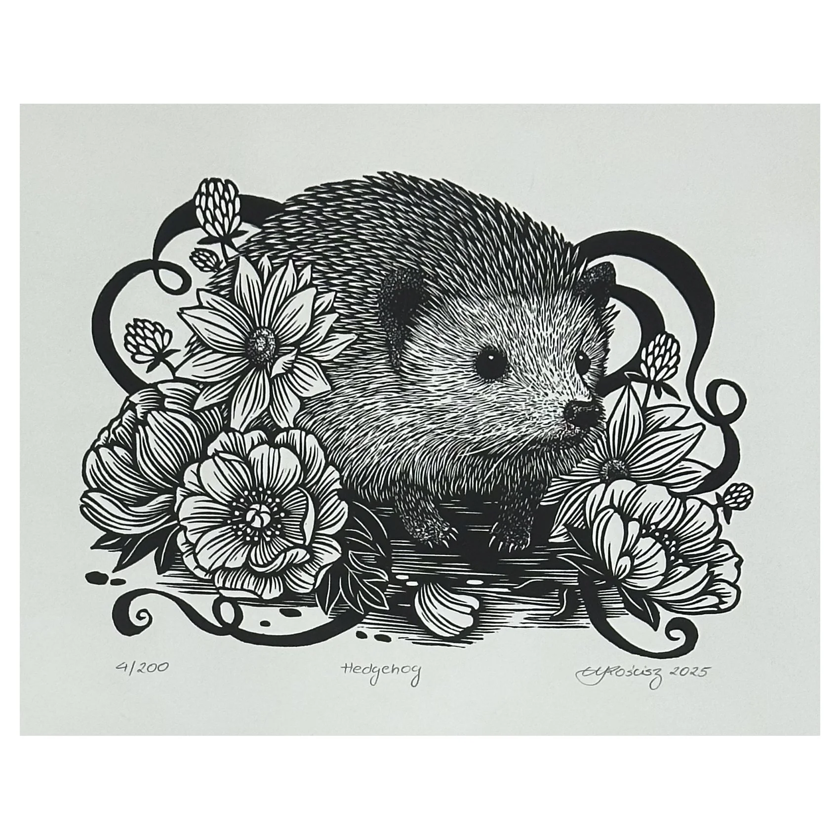 Hedgehog (unframed)