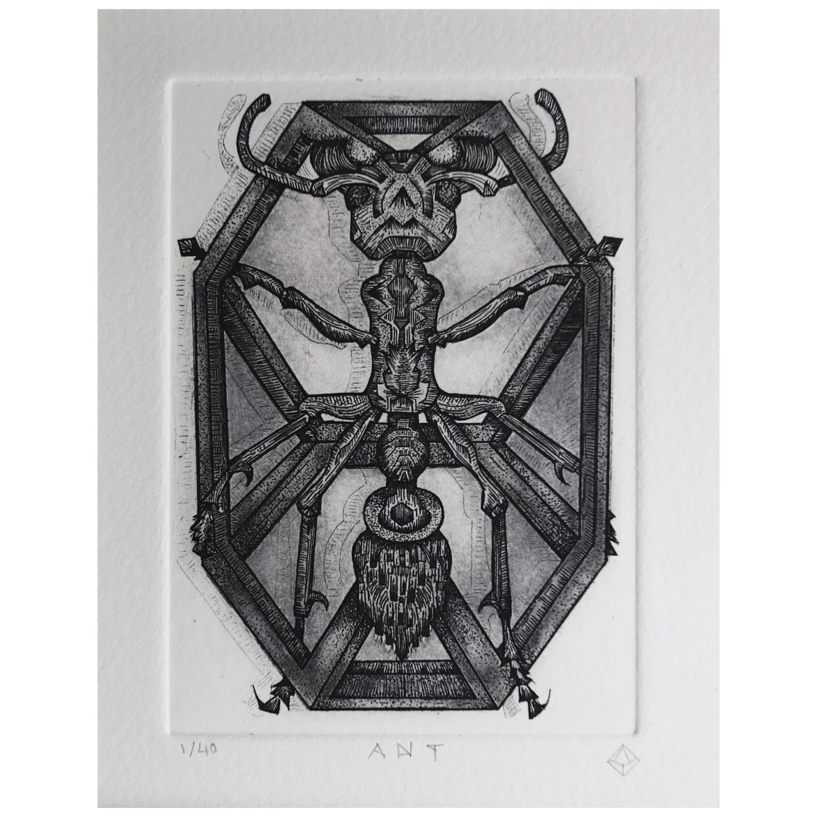 Ant (framed)