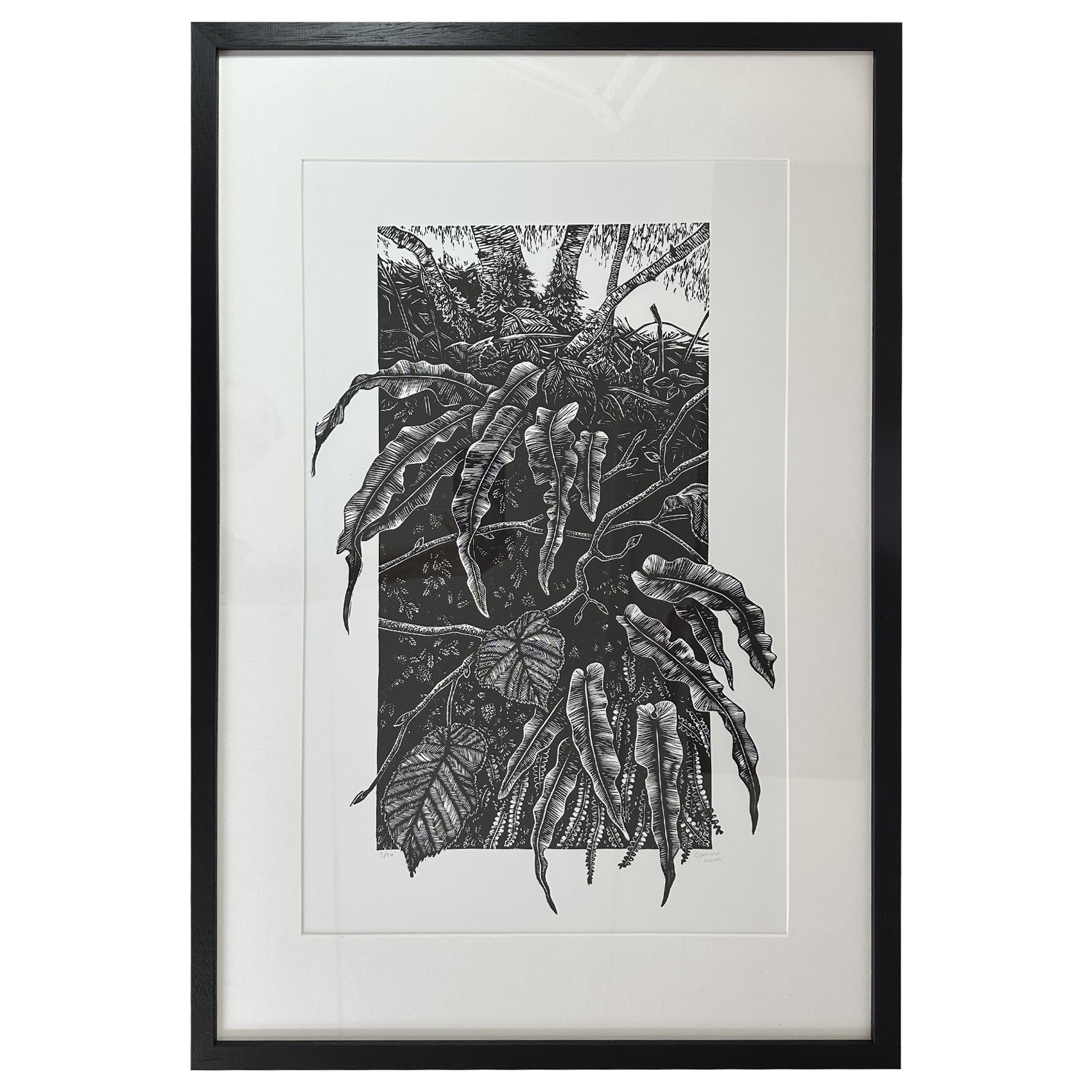 gemma dunn hart ferns.jpg