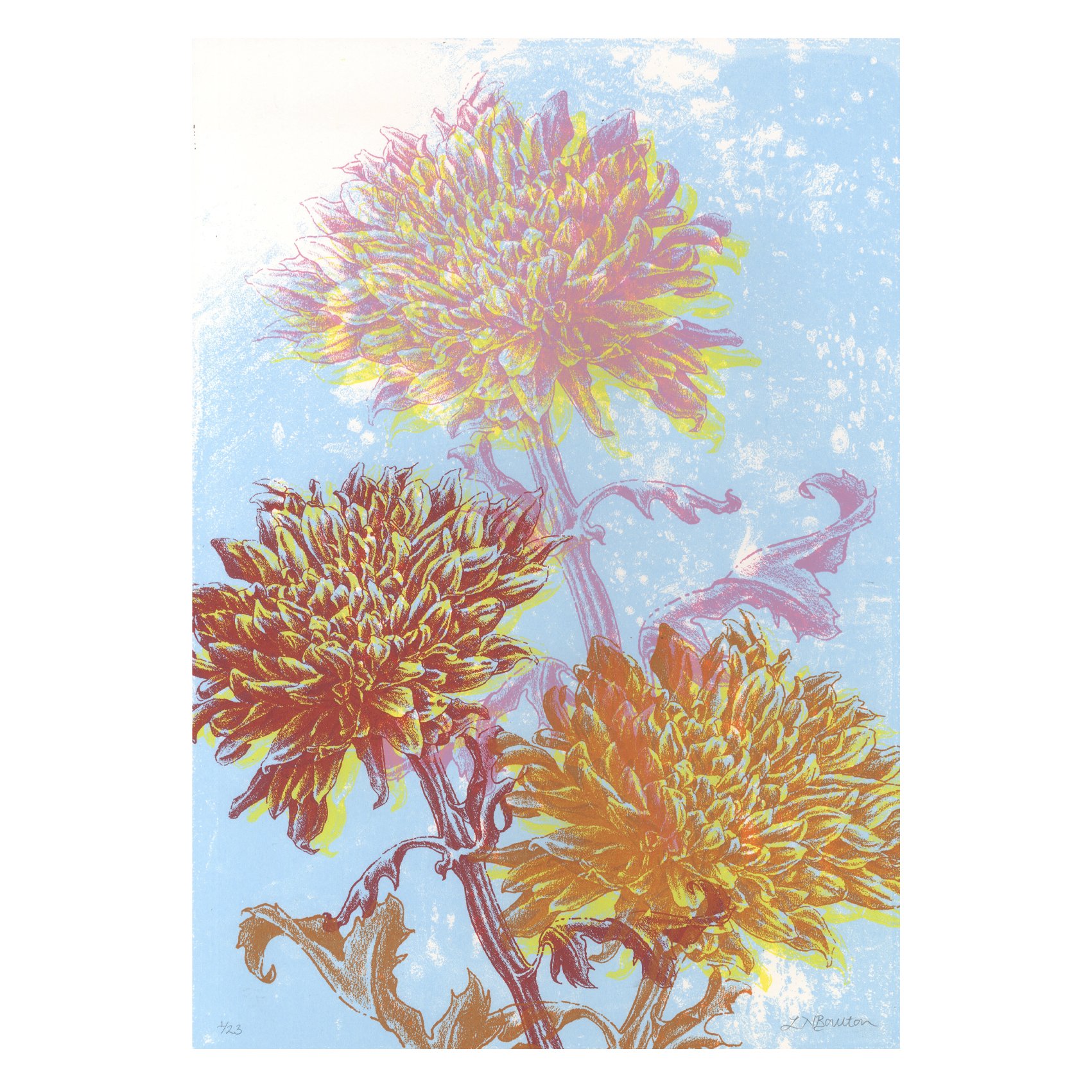 Chrysanthemum (unframed)