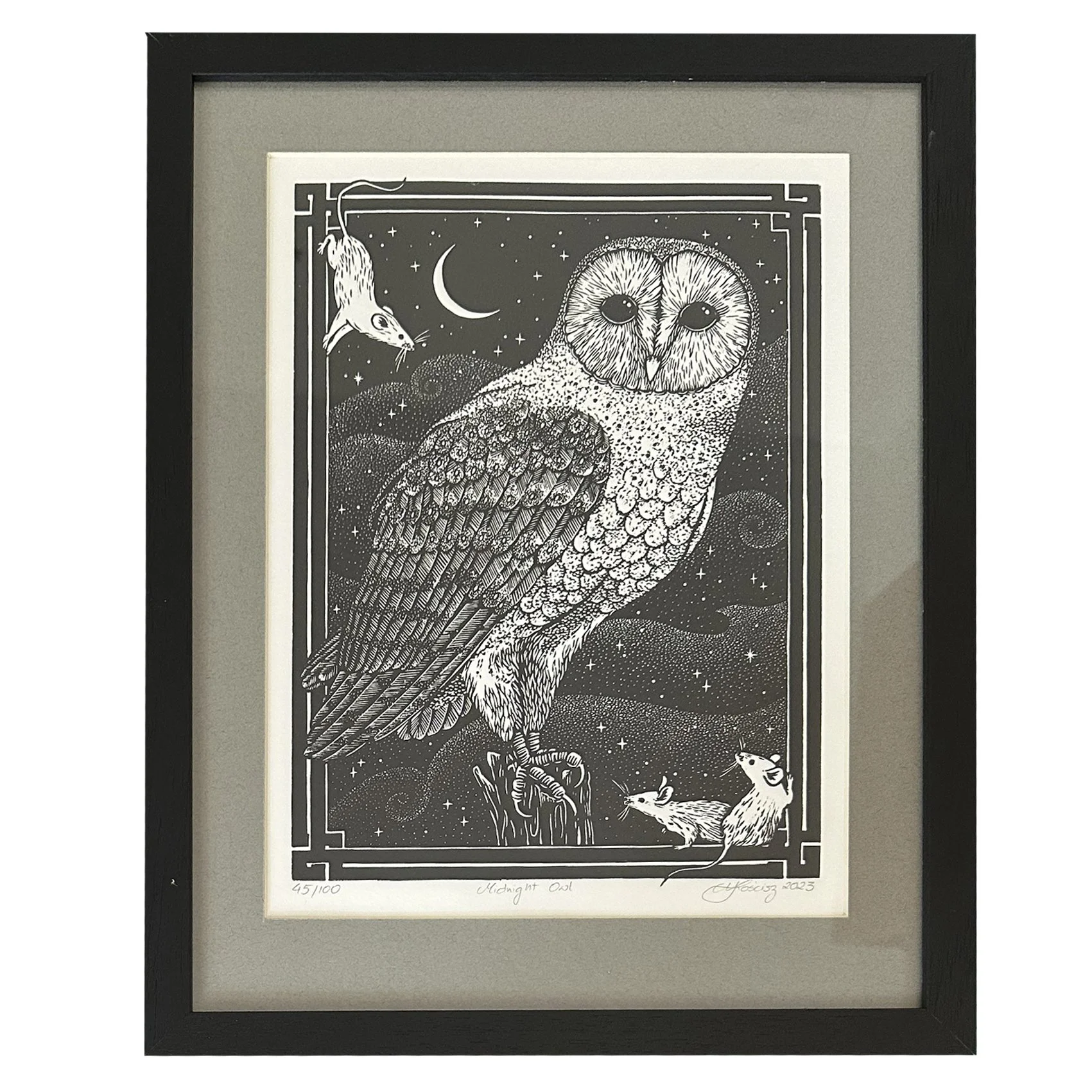 Midnight Owl (framed)