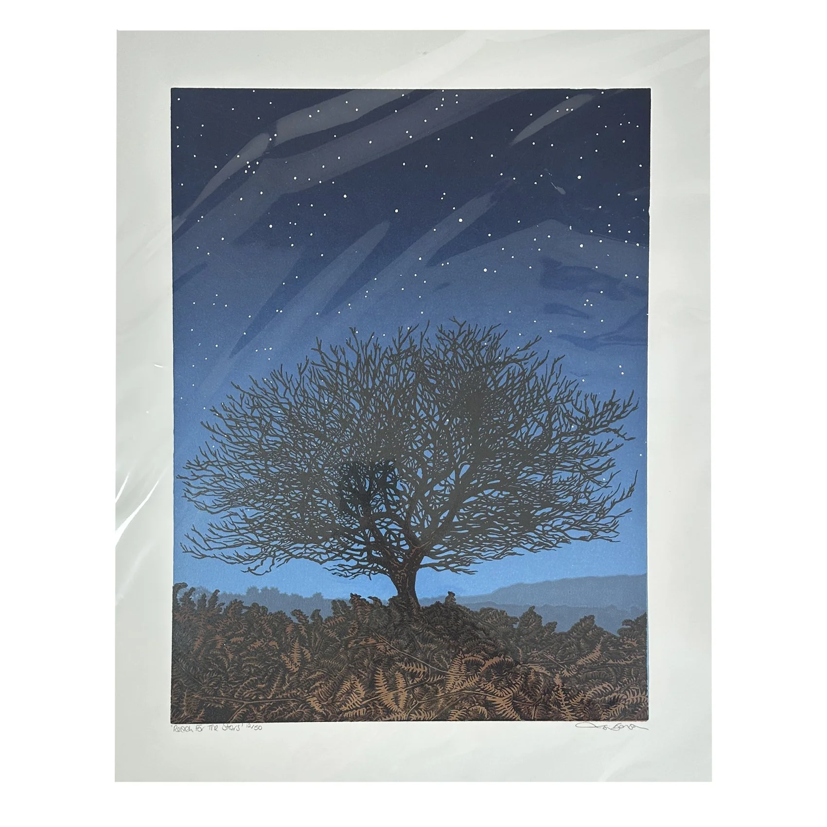 Reach For The Stars (unframed)