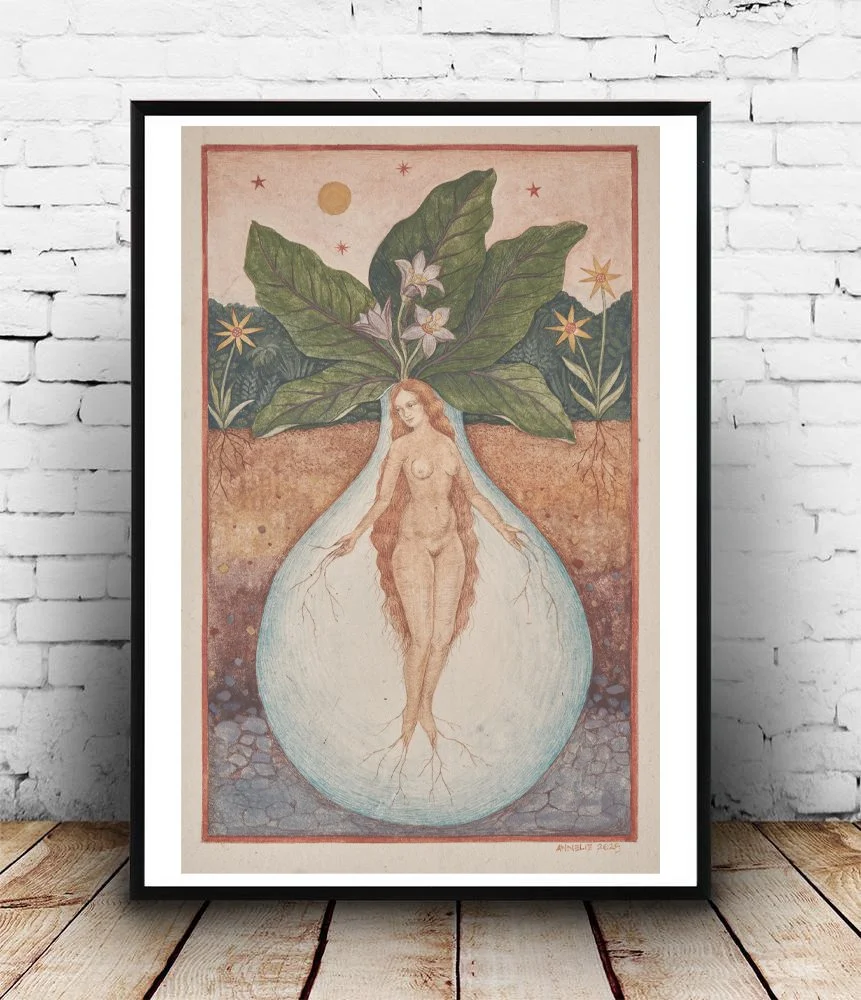 Mandragora