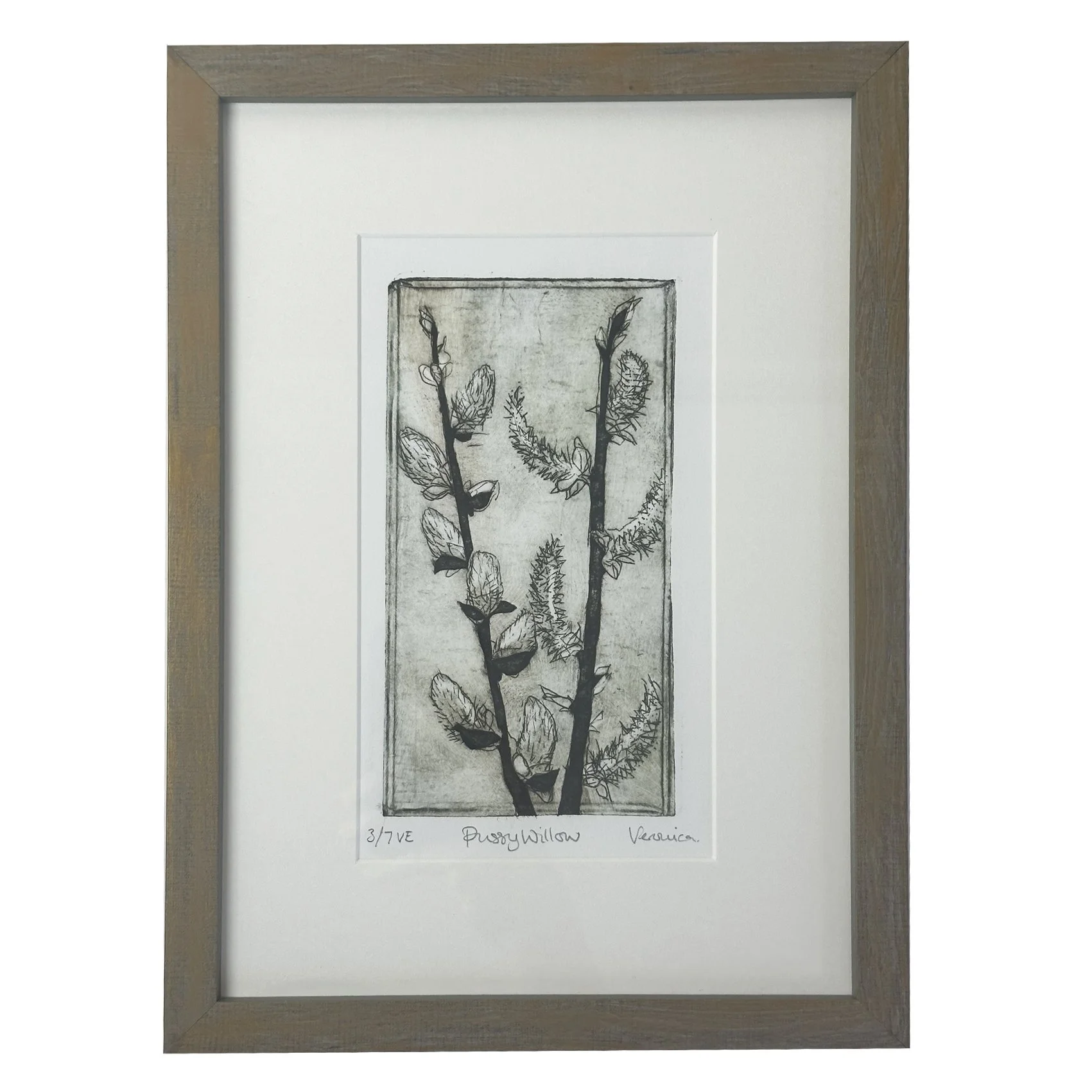Pussy Willow